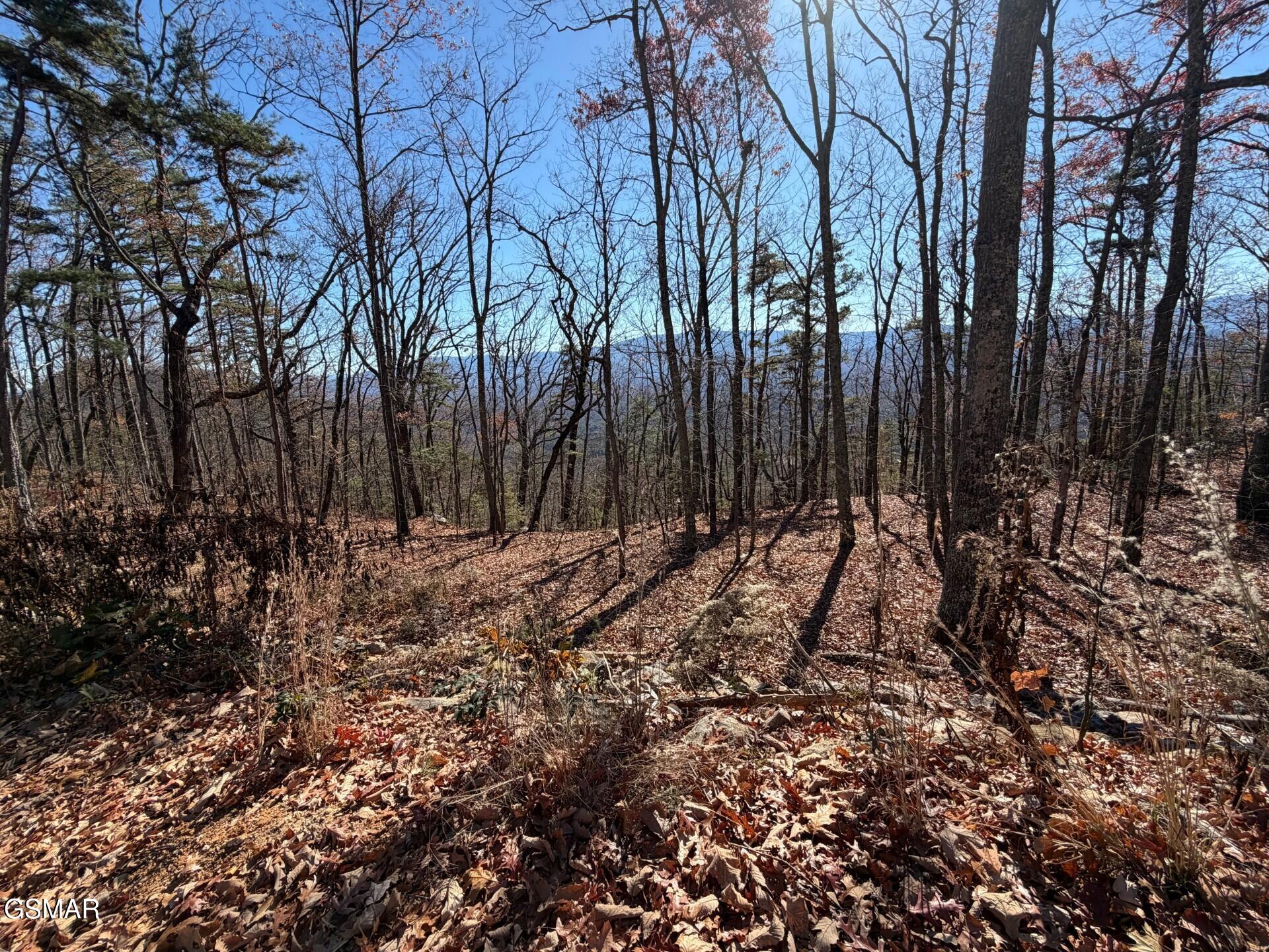 Tract A Mountain Ash Way Sevierville TN 37876