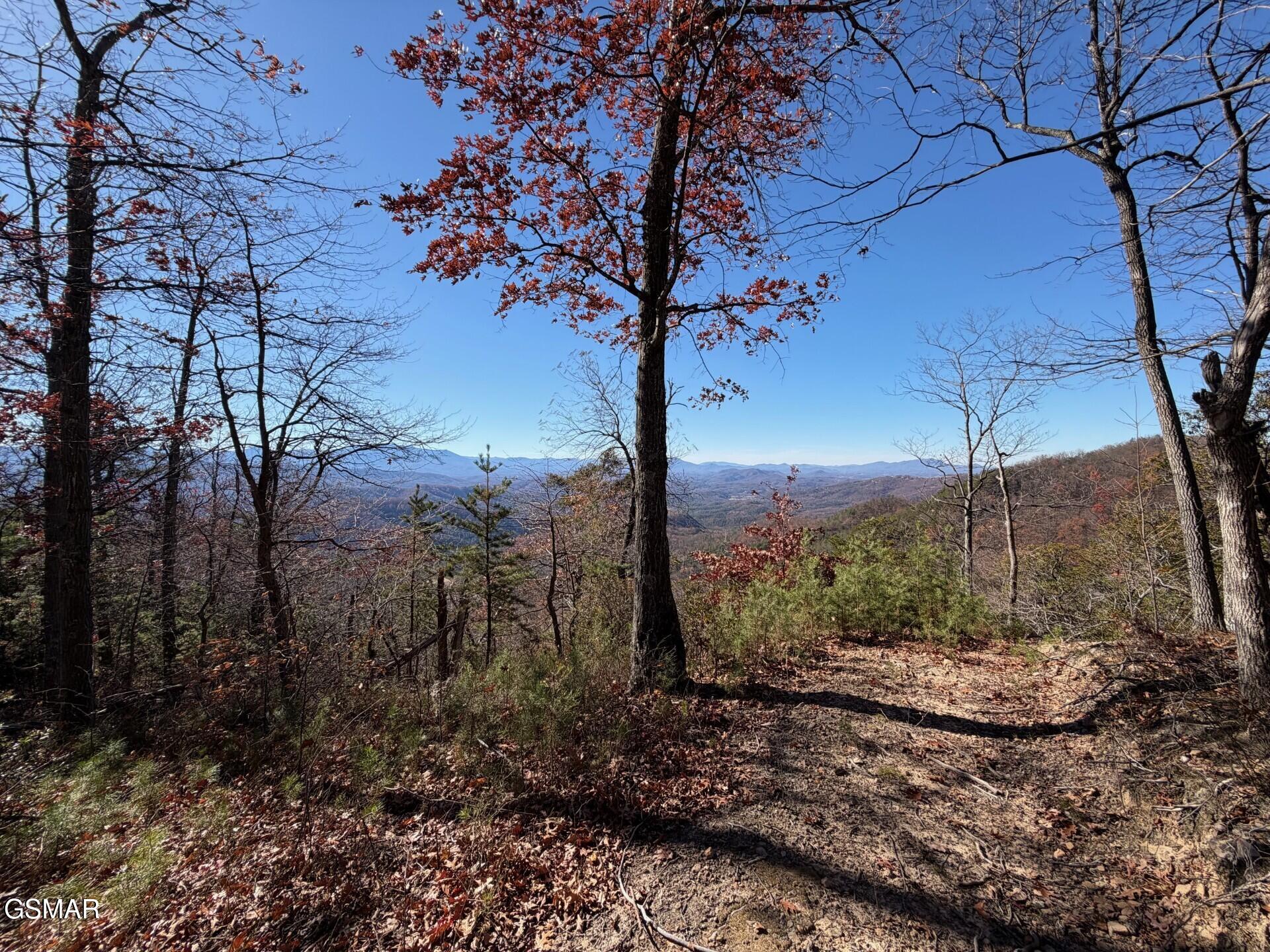 Tract A Mountain Ash Way Sevierville TN 37876