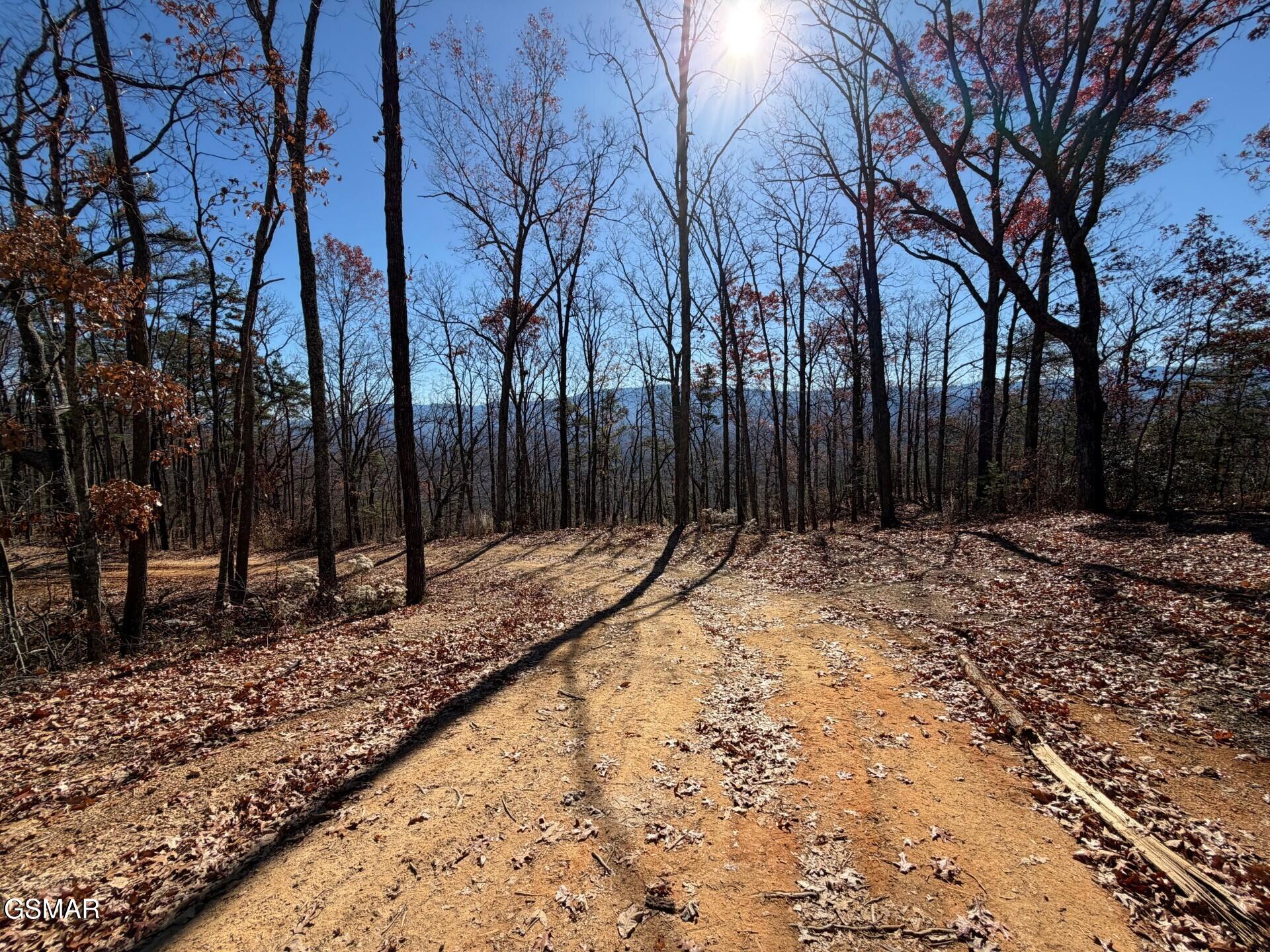 Tract A Mountain Ash Way Sevierville TN 37876