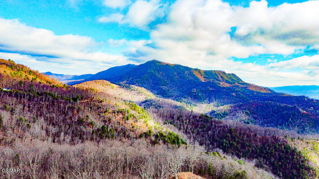 Tract A Mountain Ash Way Sevierville TN 37876