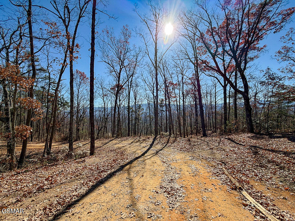 Tract A Mountain Ash Way Sevierville TN 37876