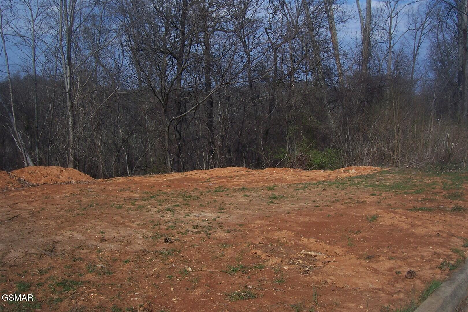 Lot 141 Low Valley Road Dandridge TN 37725