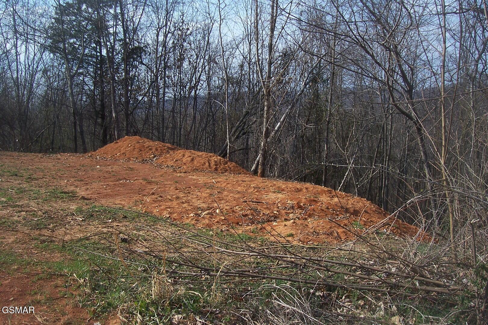 Lot 141 Low Valley Road Dandridge TN 37725