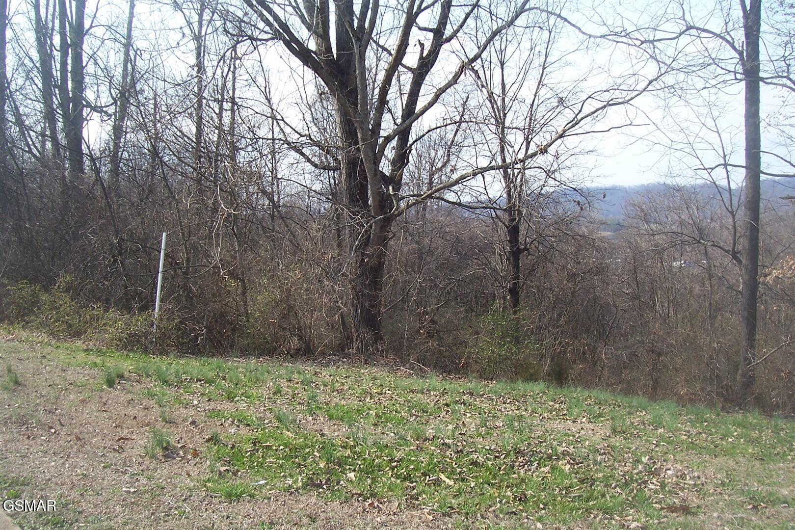 Lot 141 Low Valley Road Dandridge TN 37725