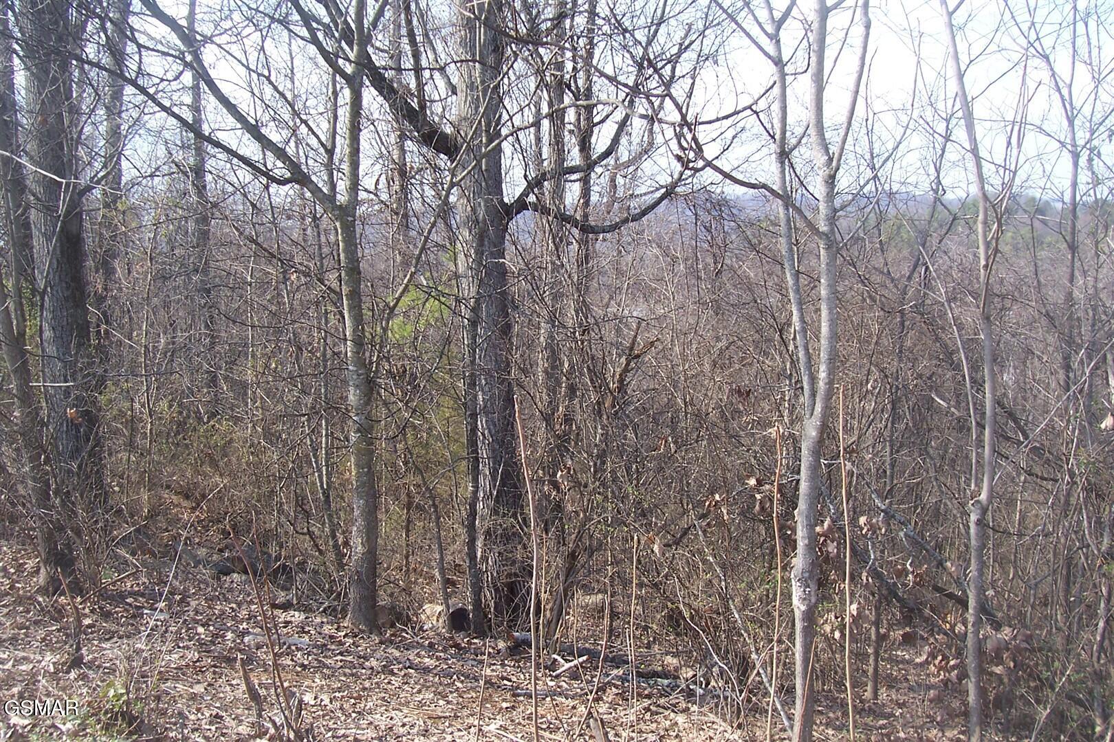 Lot 141 Low Valley Road Dandridge TN 37725