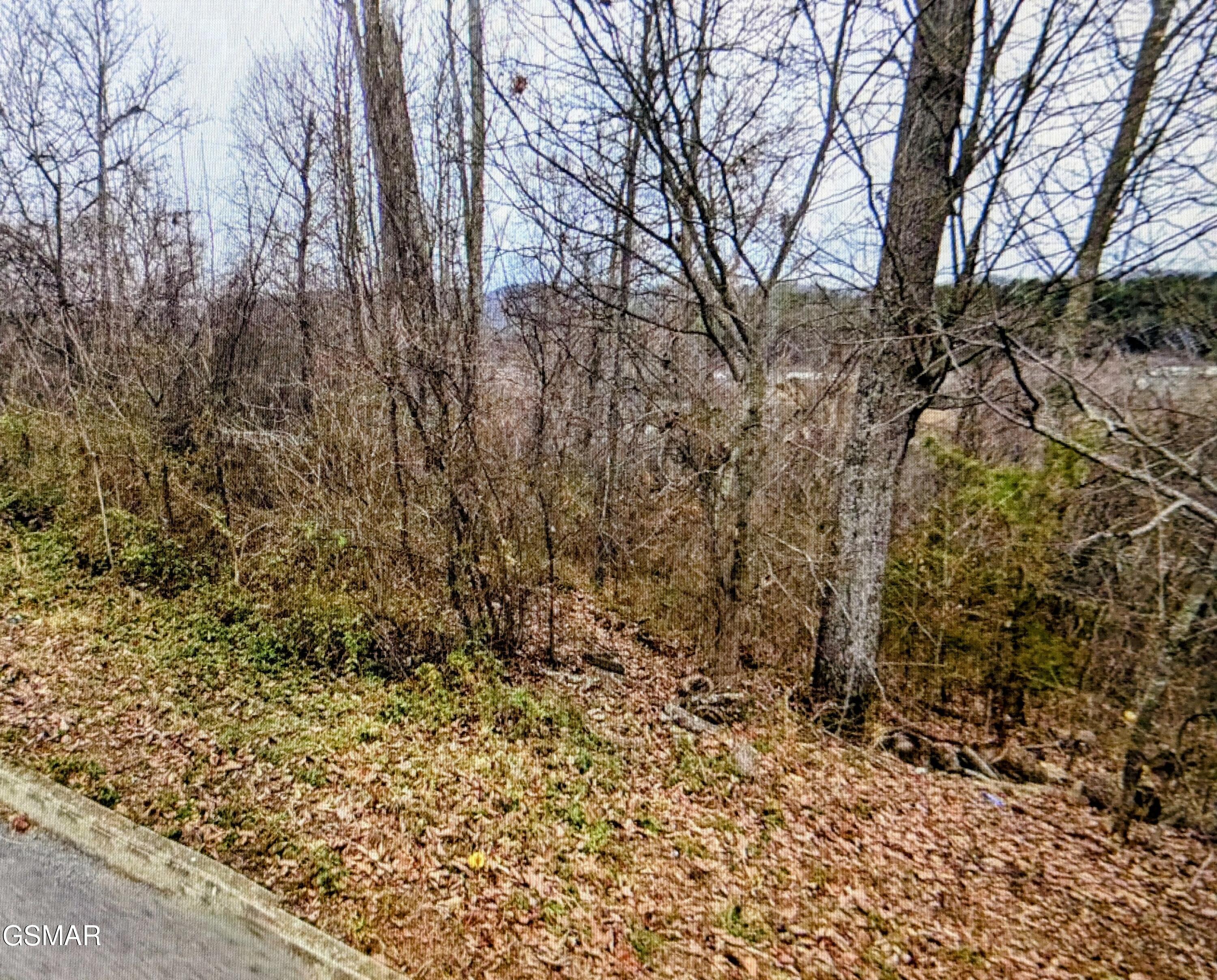 Lot 141 Low Valley Road Dandridge TN 37725