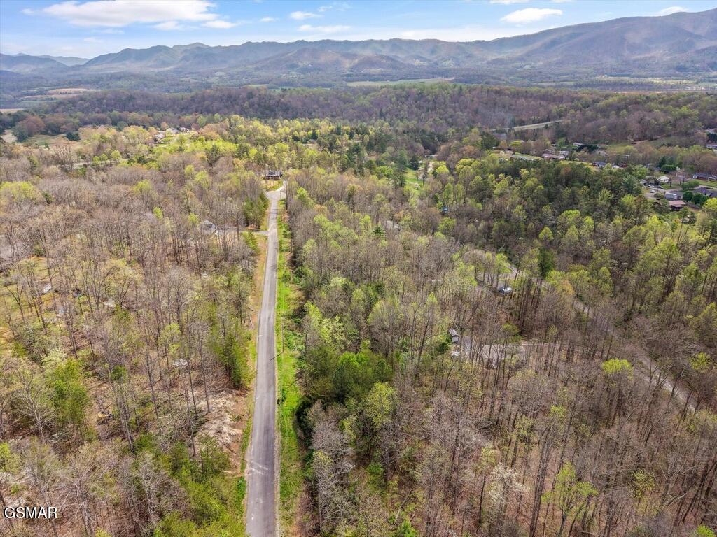 1433 Timber Trail Newport TN 37821