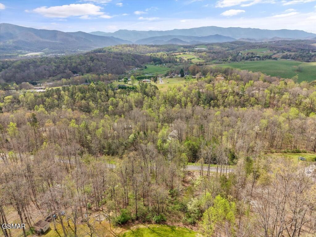 1433 Timber Trail Newport TN 37821