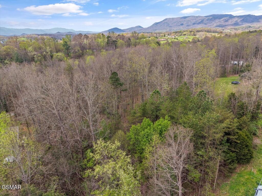 1433 Timber Trail Newport TN 37821