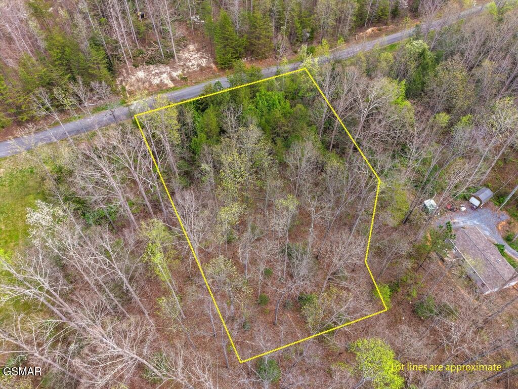 1433 Timber Trail Newport TN 37821