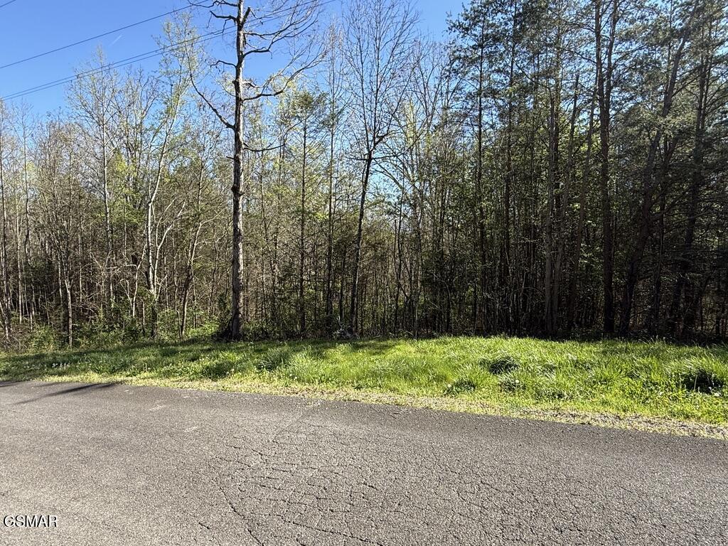 1433 Timber Trail Newport TN 37821