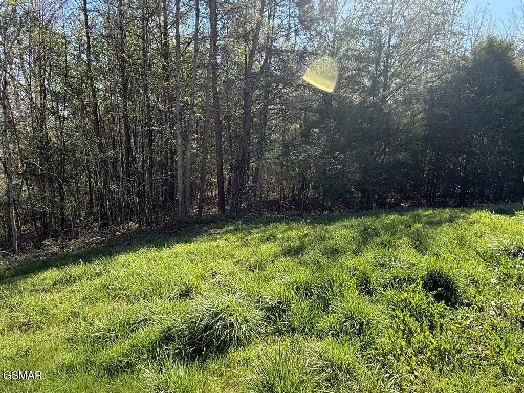 1433 Timber Trail Newport TN 37821