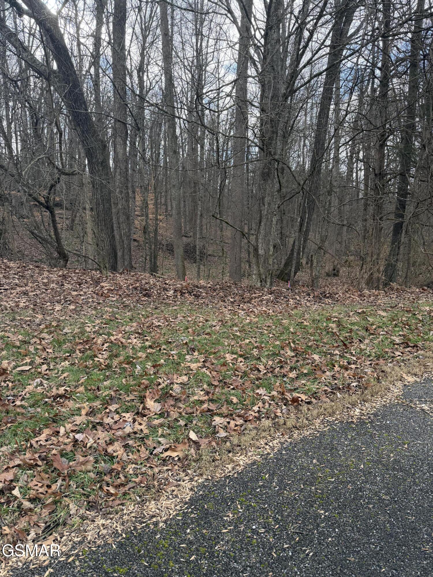 Lot 4 Pilgrim Road Dandridge TN 37725