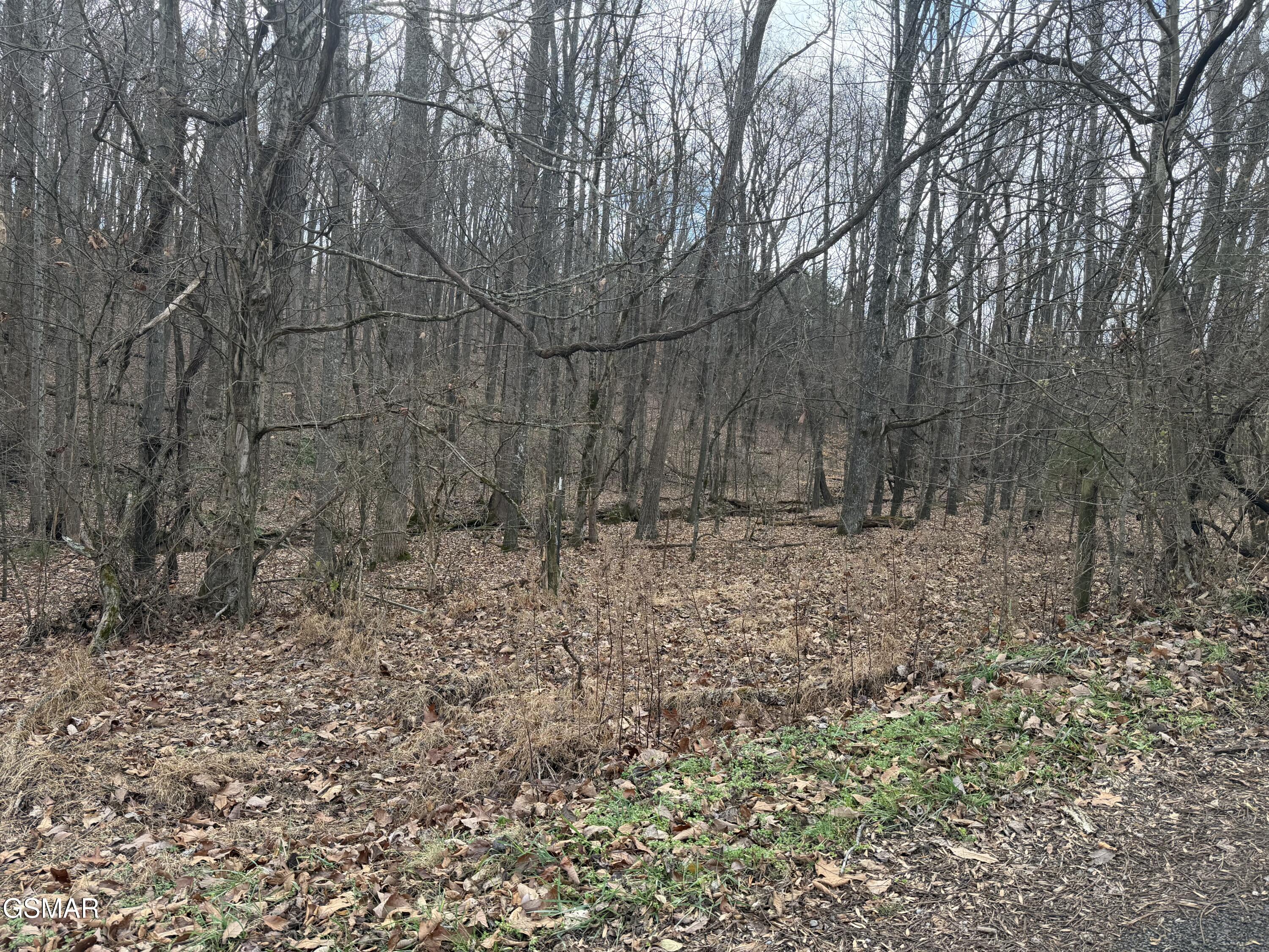 Lot 4 Pilgrim Road Dandridge TN 37725