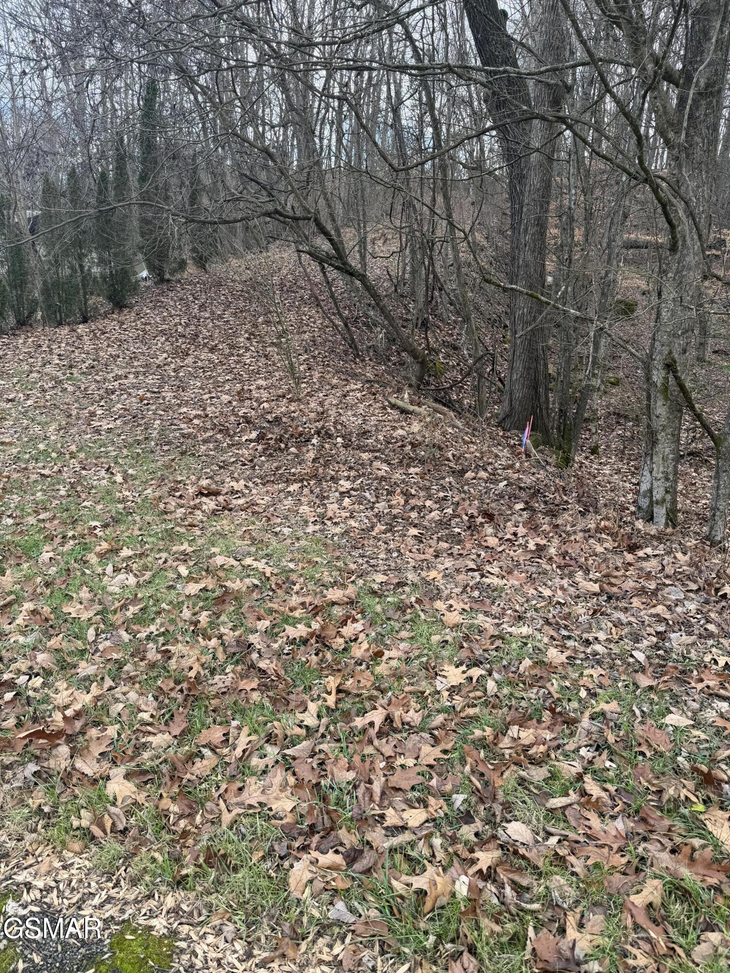 Lot 4 Pilgrim Road Dandridge TN 37725