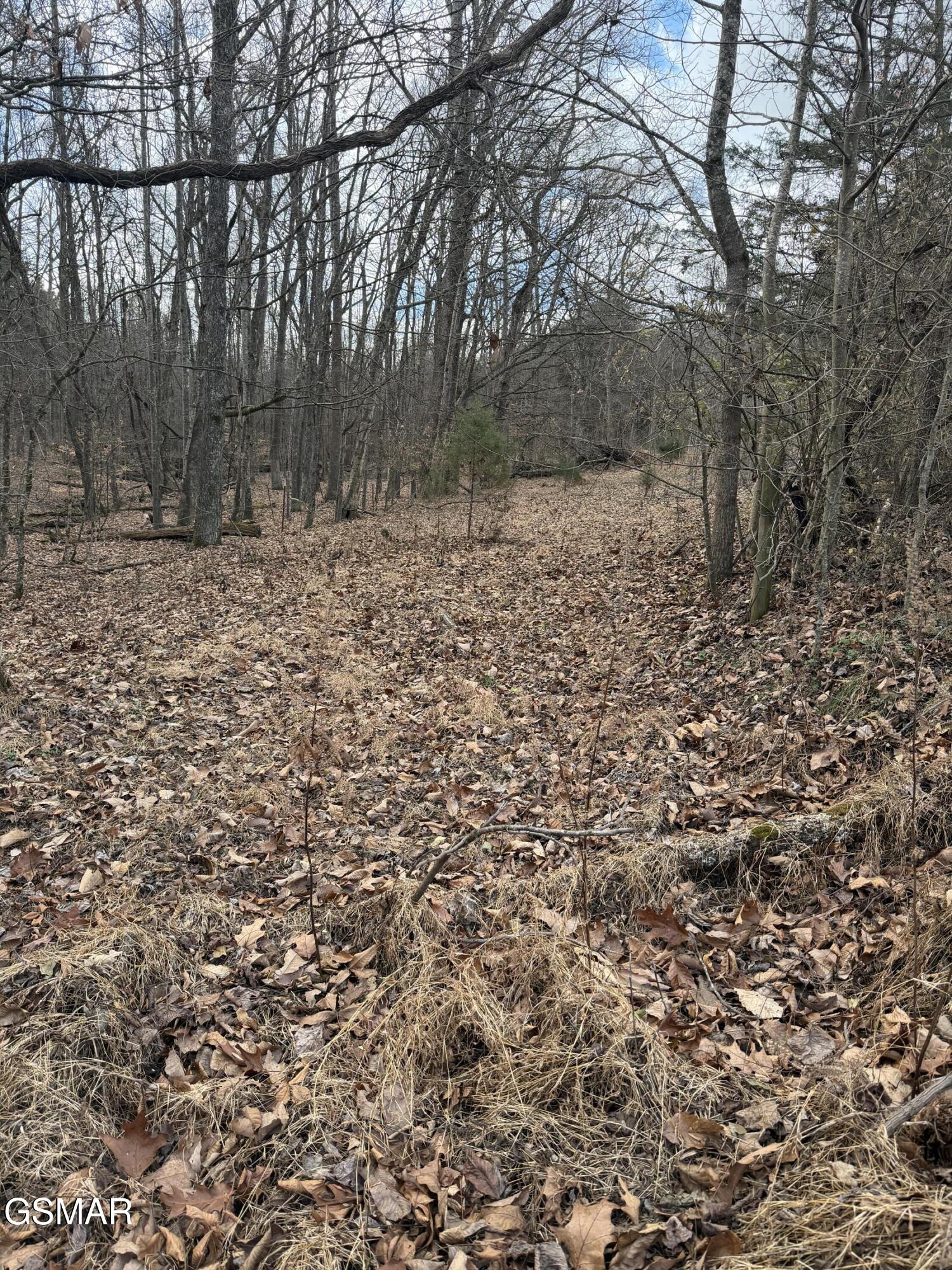 Lot 4 Pilgrim Road Dandridge TN 37725