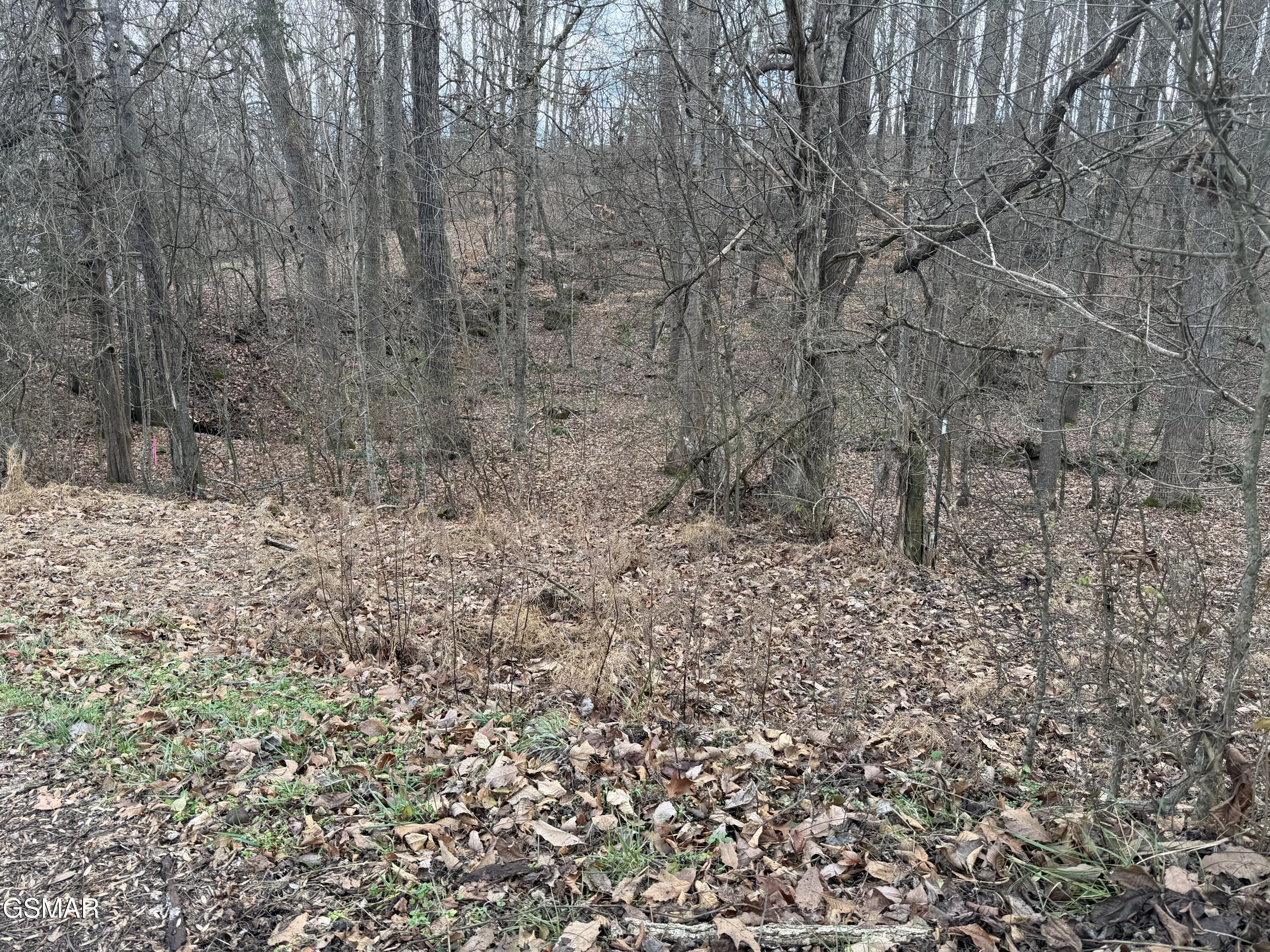 Lot 4 Pilgrim Road Dandridge TN 37725