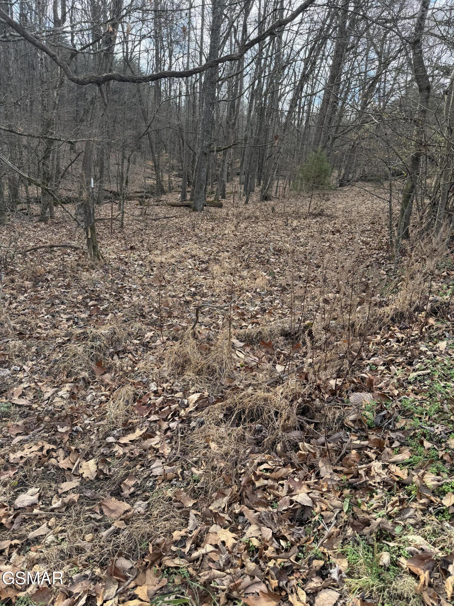 Lot 4 Pilgrim Road Dandridge TN 37725