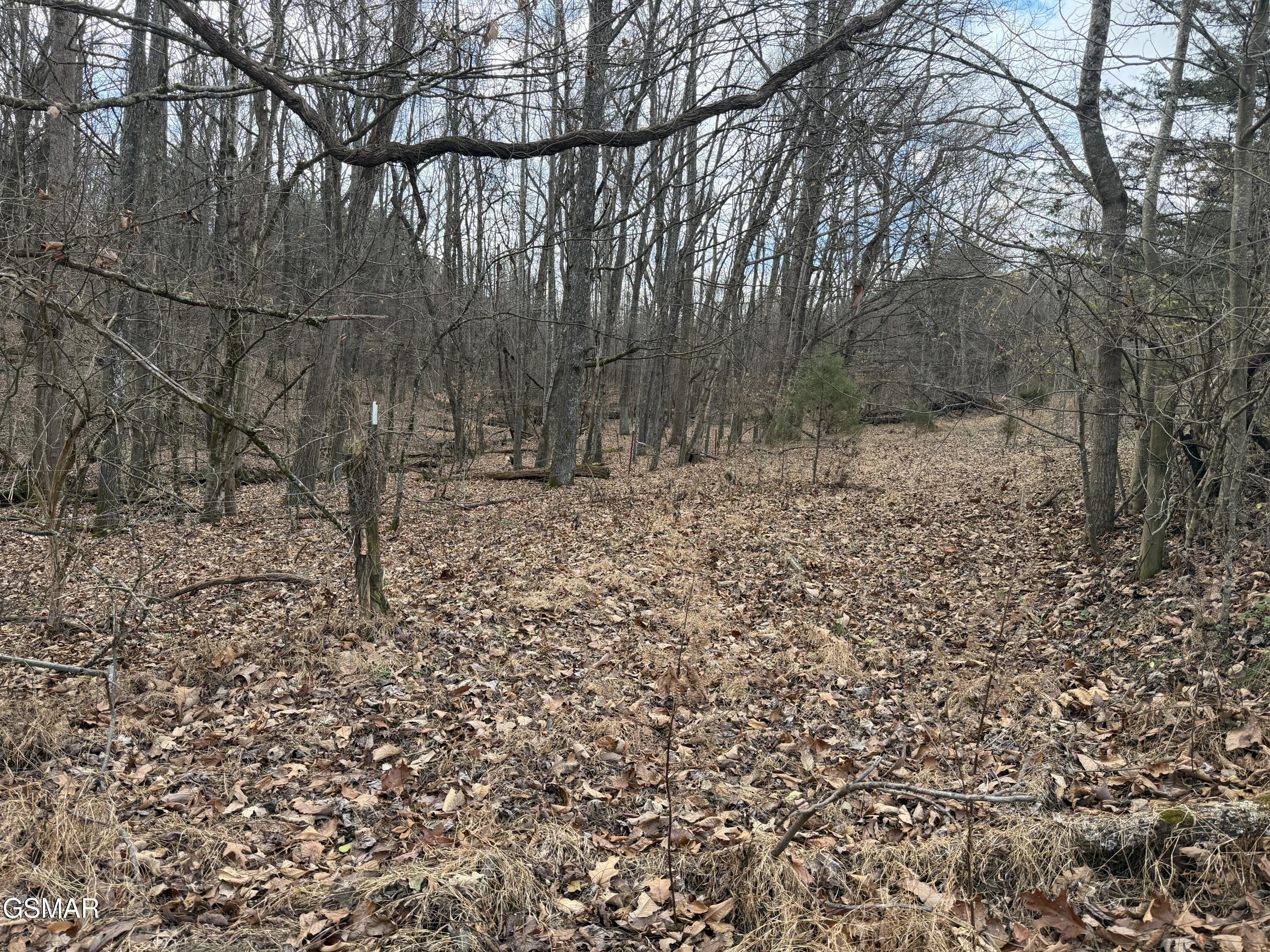 Lot 4 Pilgrim Road Dandridge TN 37725