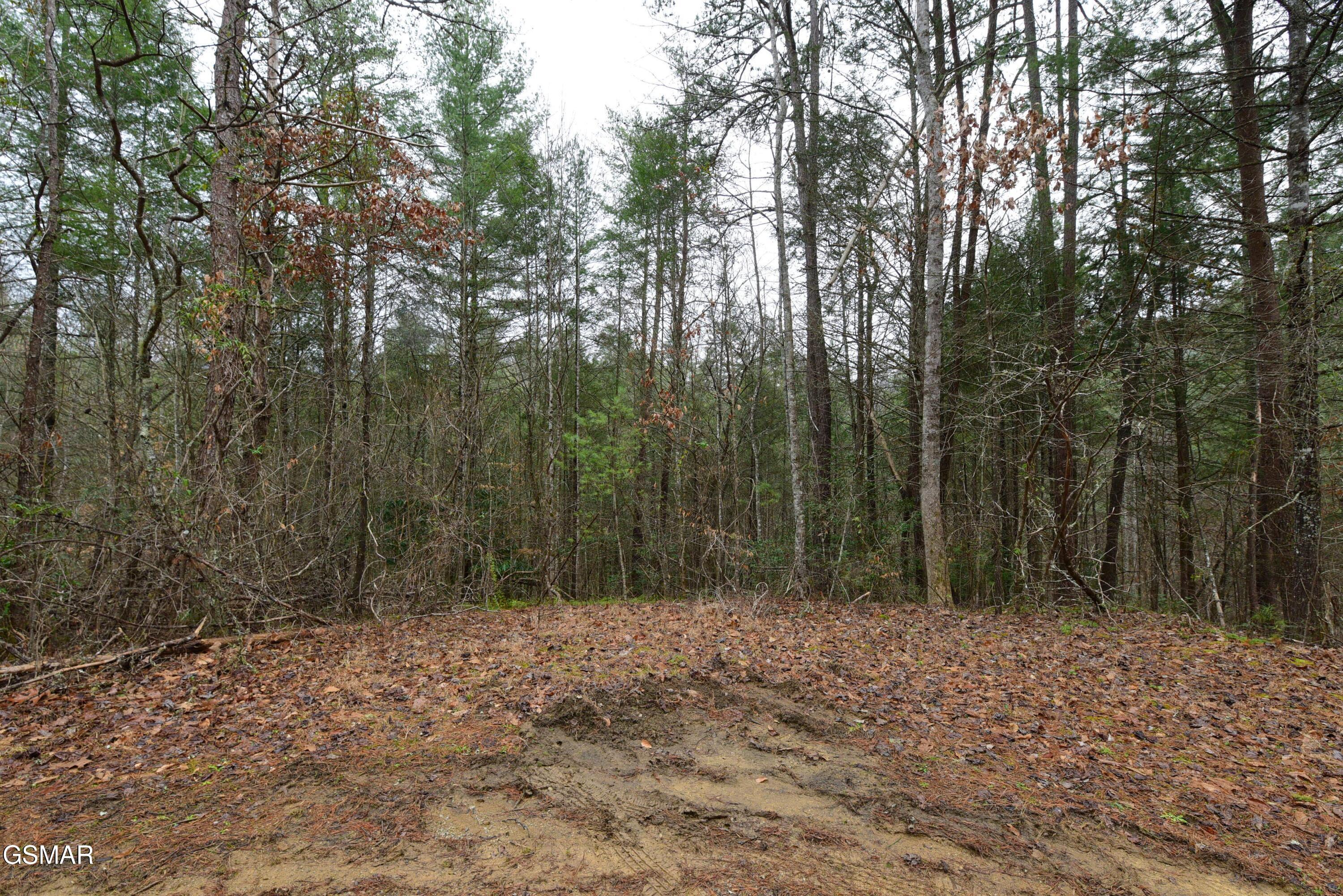 Lot 23 Alpine Ridge Way Sevierville TN 37876