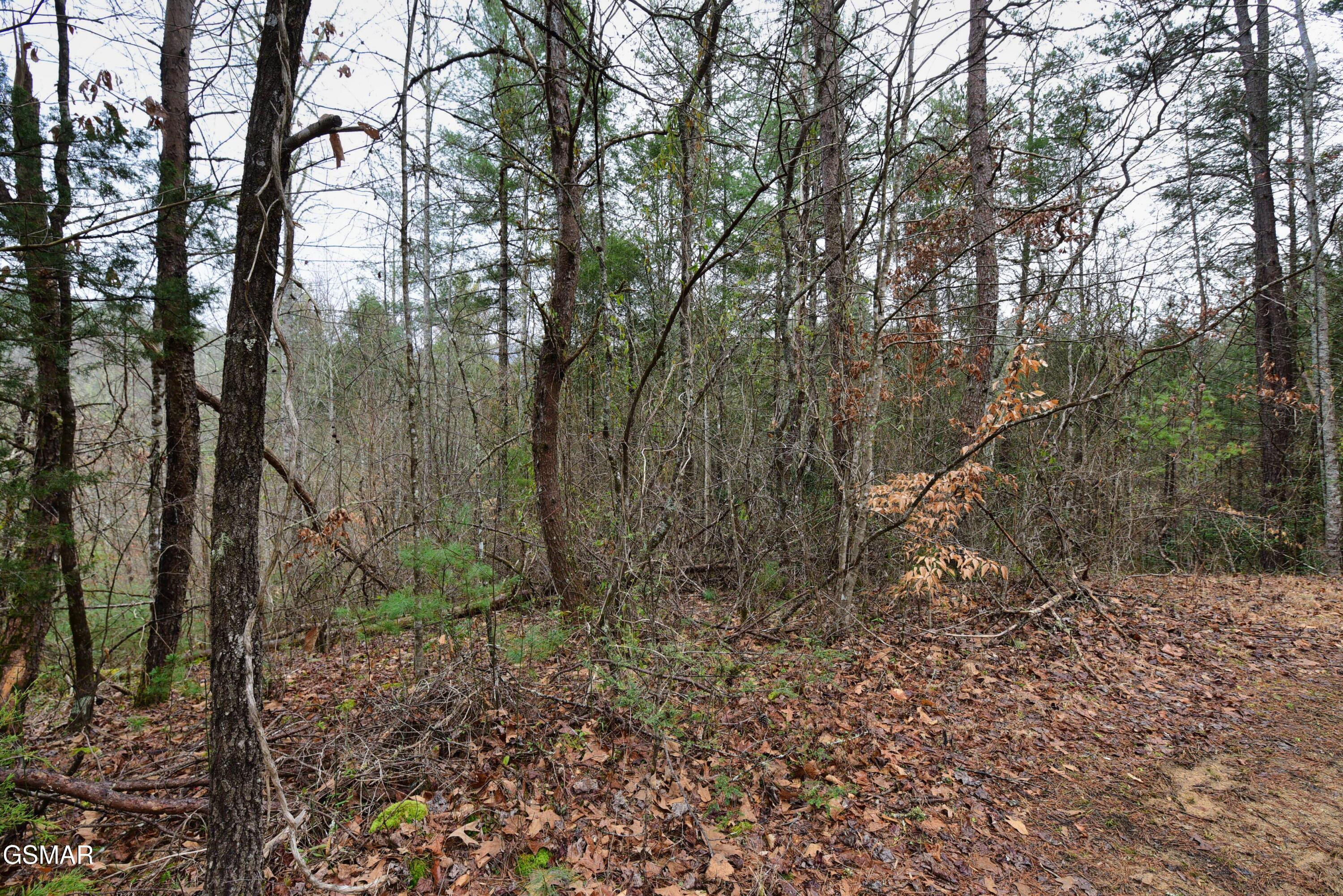 Lot 23 Alpine Ridge Way Sevierville TN 37876