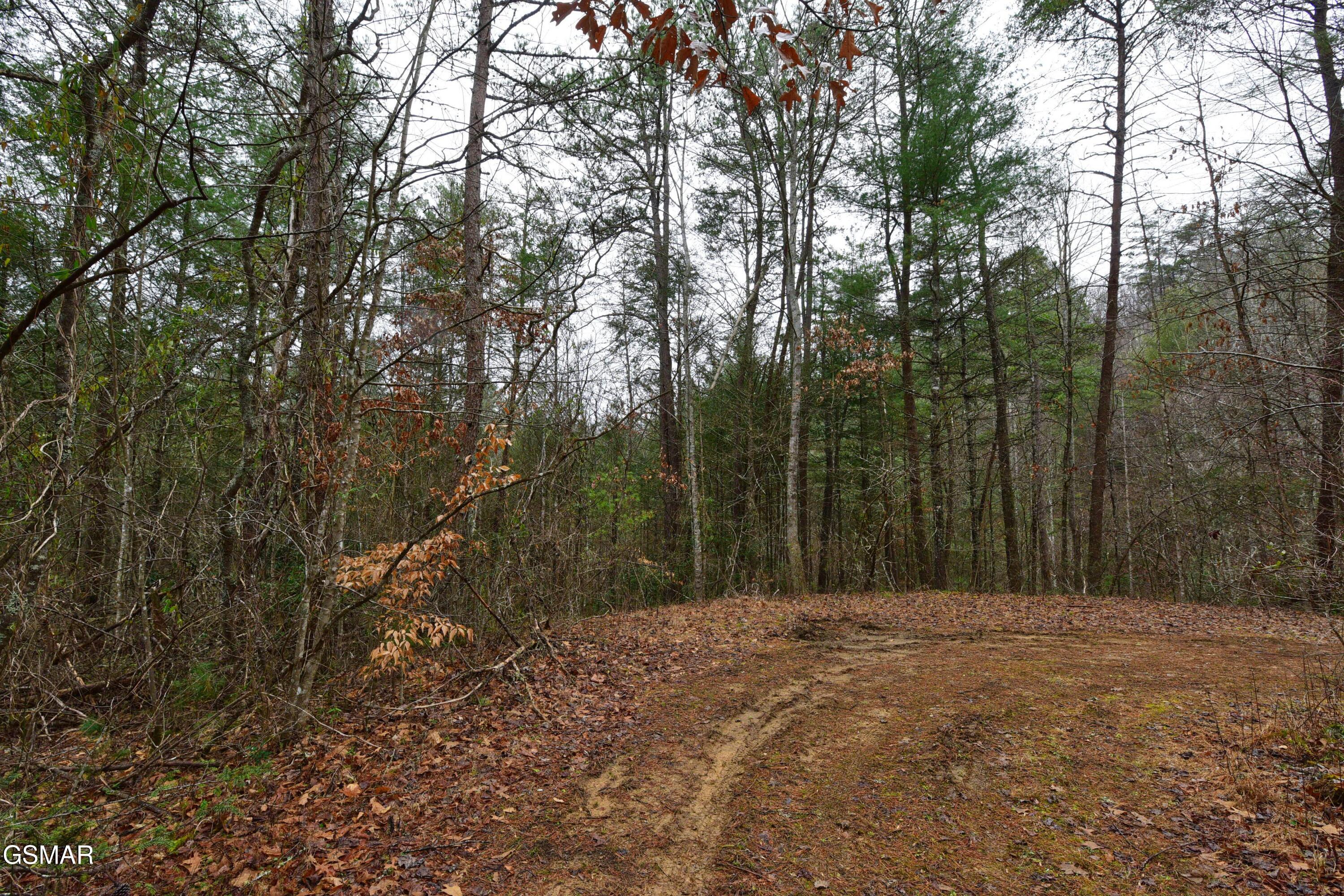 Lot 23 Alpine Ridge Way Sevierville TN 37876