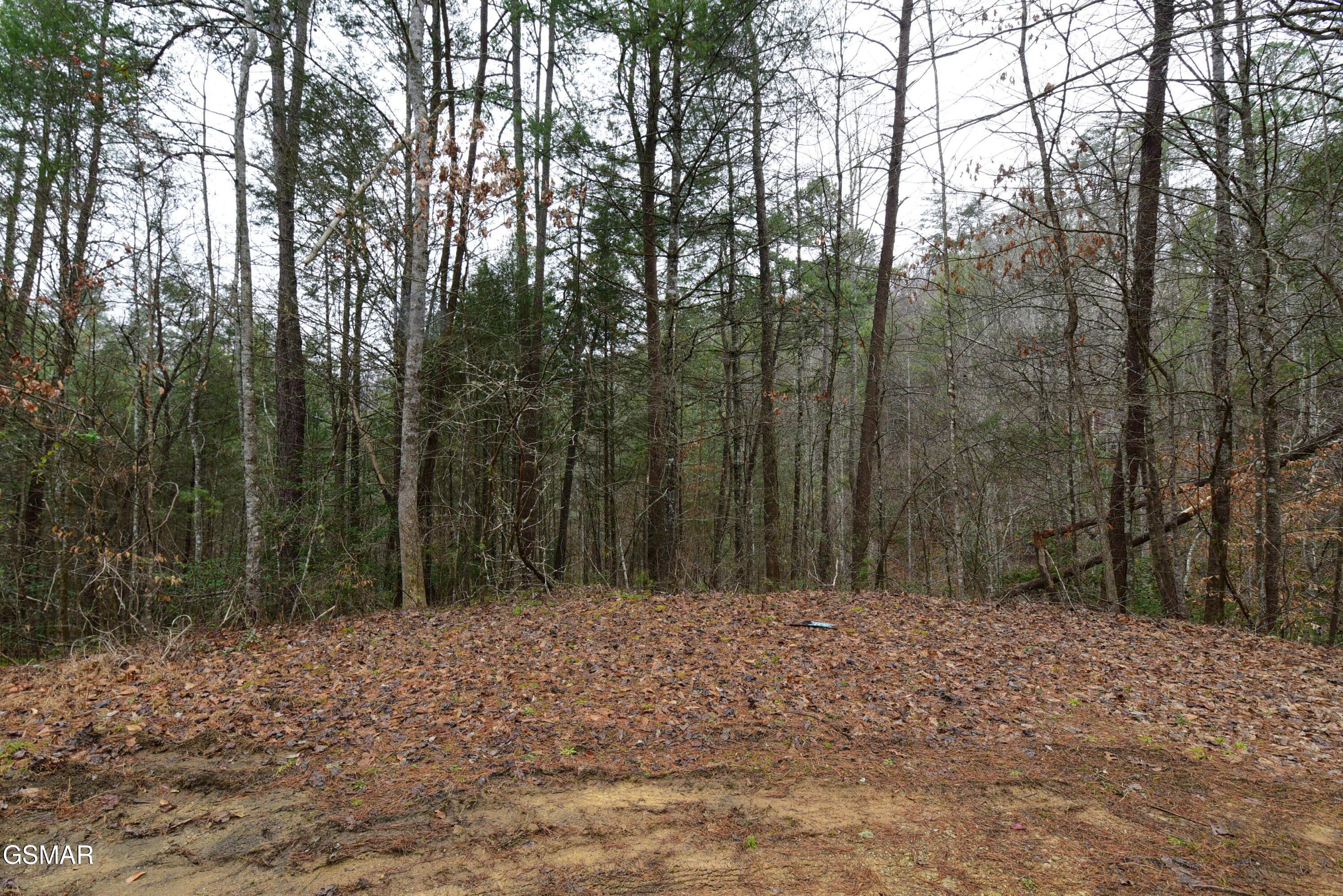Lot 23 Alpine Ridge Way Sevierville TN 37876