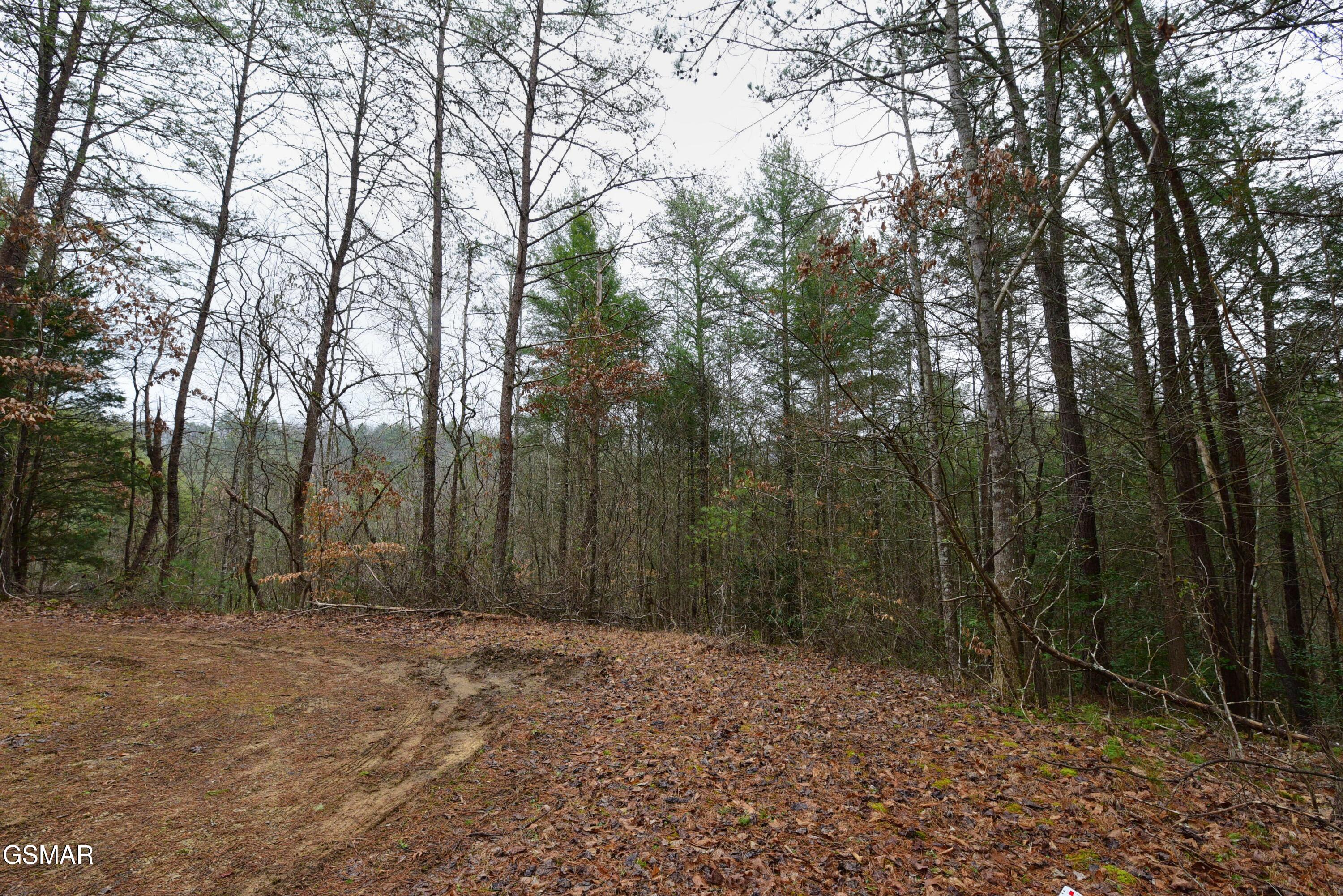 Lot 23 Alpine Ridge Way Sevierville TN 37876