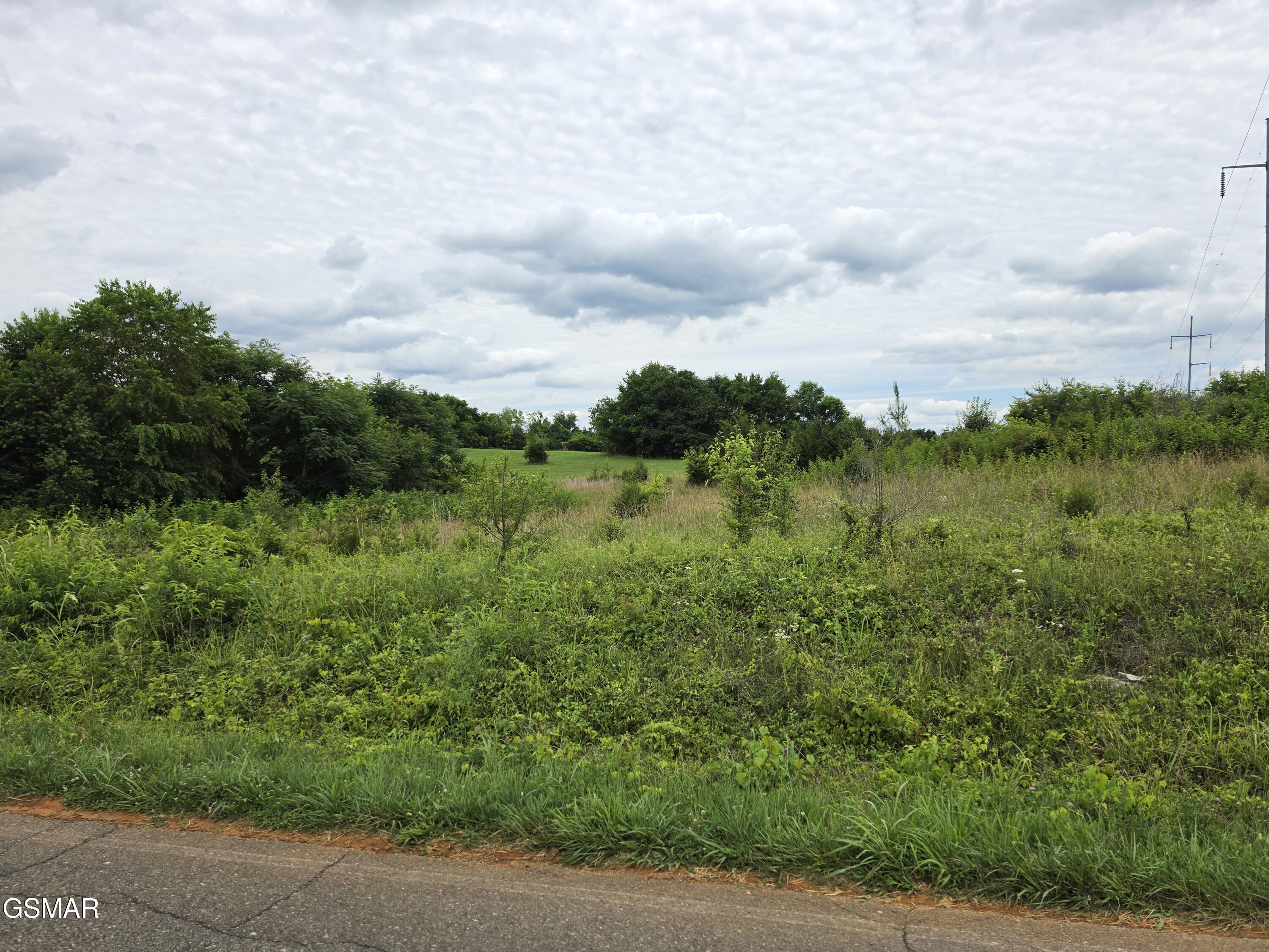 Lot 18 Baker Springs Road White Pine TN 37890