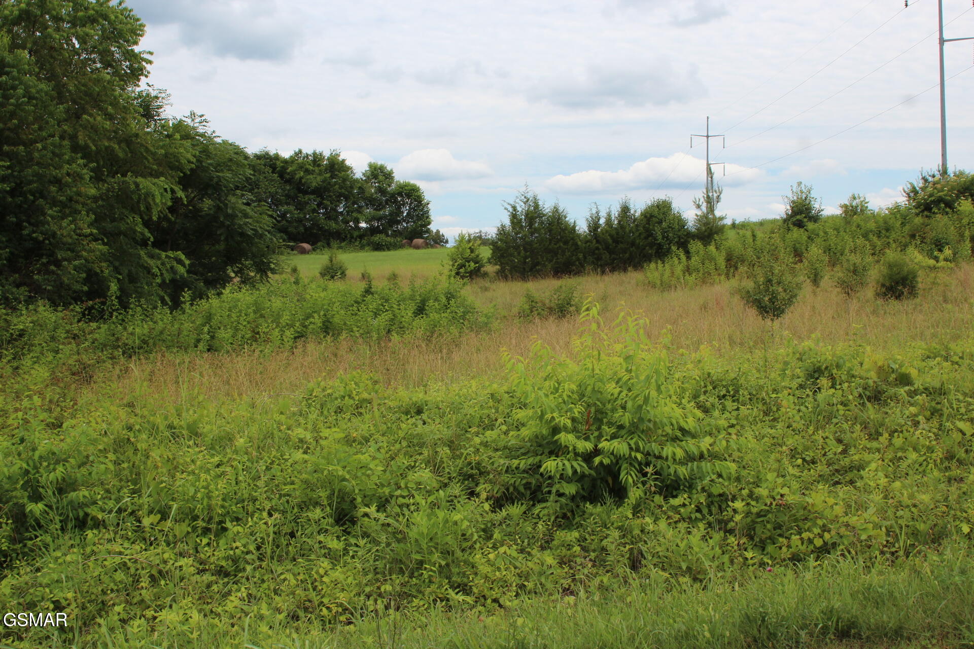 Lot 18 Baker Springs Road White Pine TN 37890