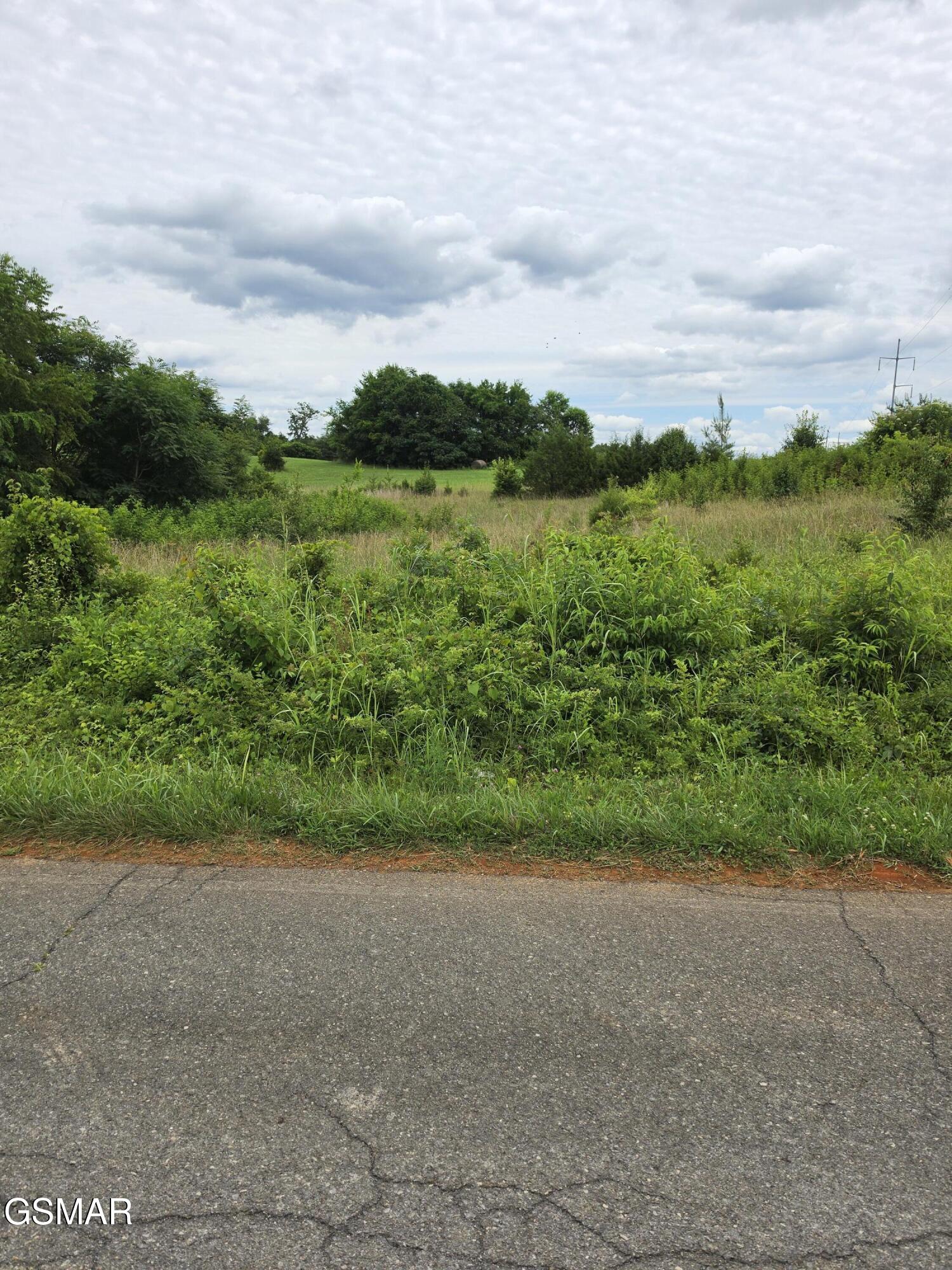 Lot 18 Baker Springs Road White Pine TN 37890