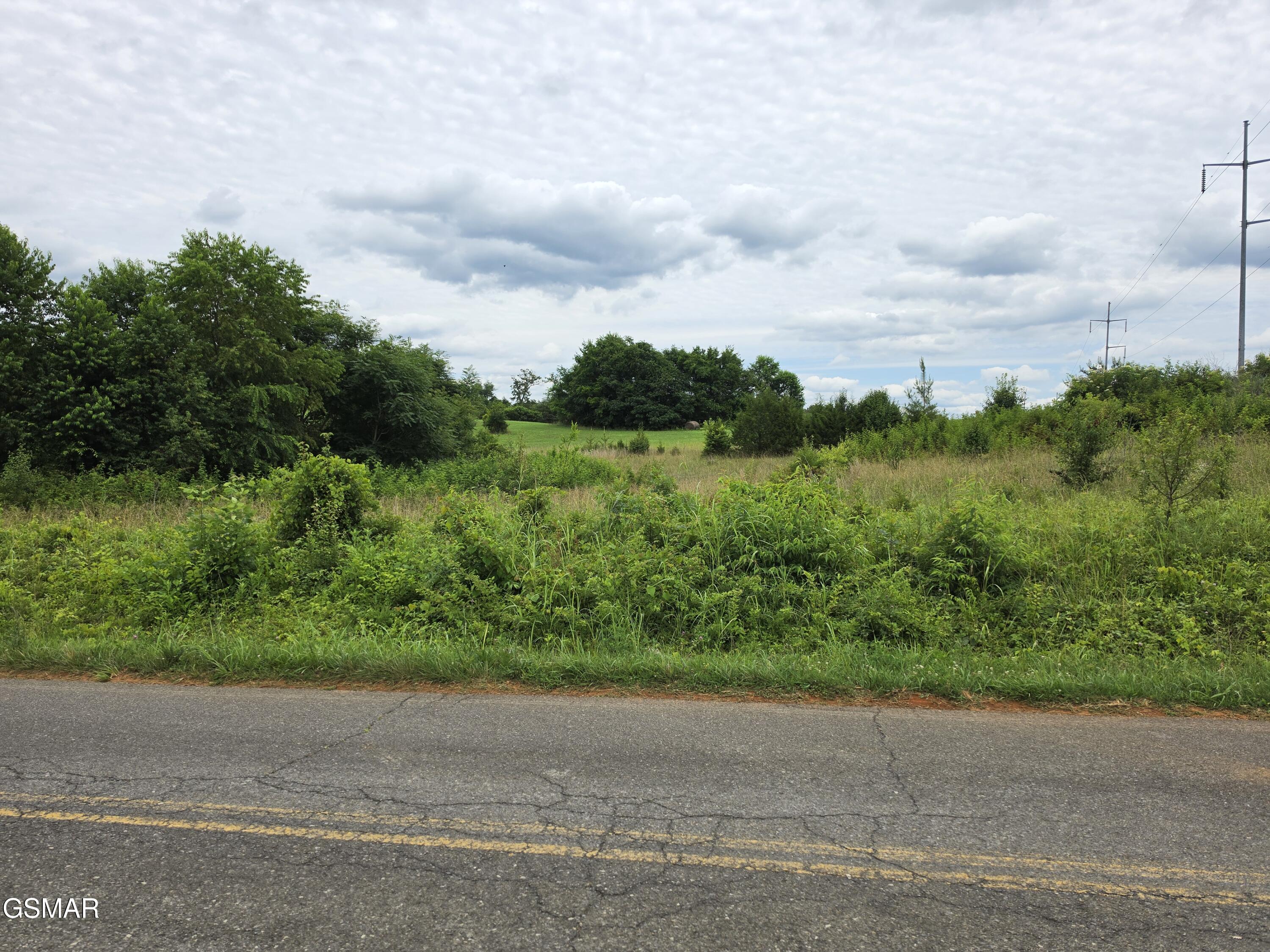 Lot 18 Baker Springs Road White Pine TN 37890