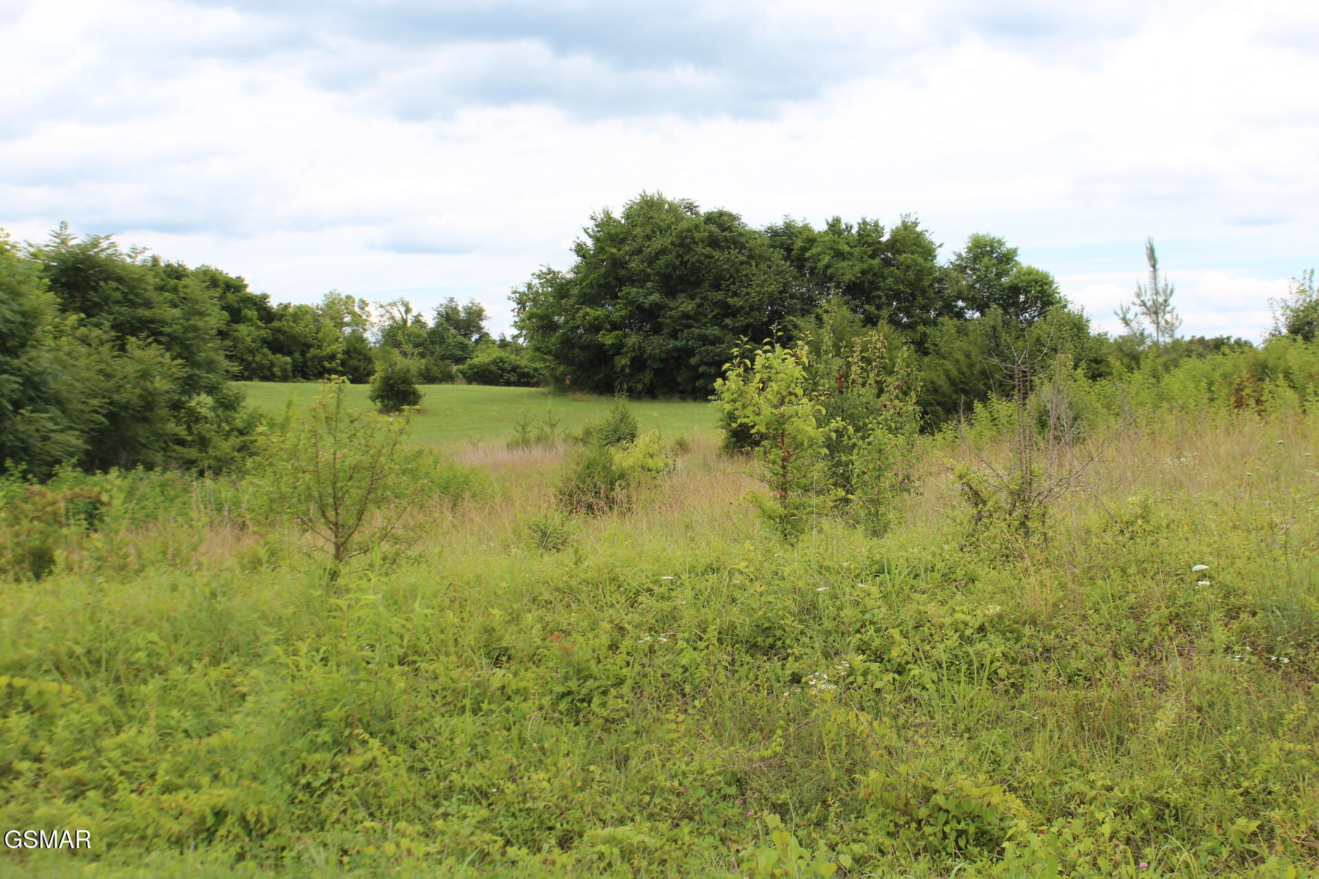 Lot 18 Baker Springs Road White Pine TN 37890