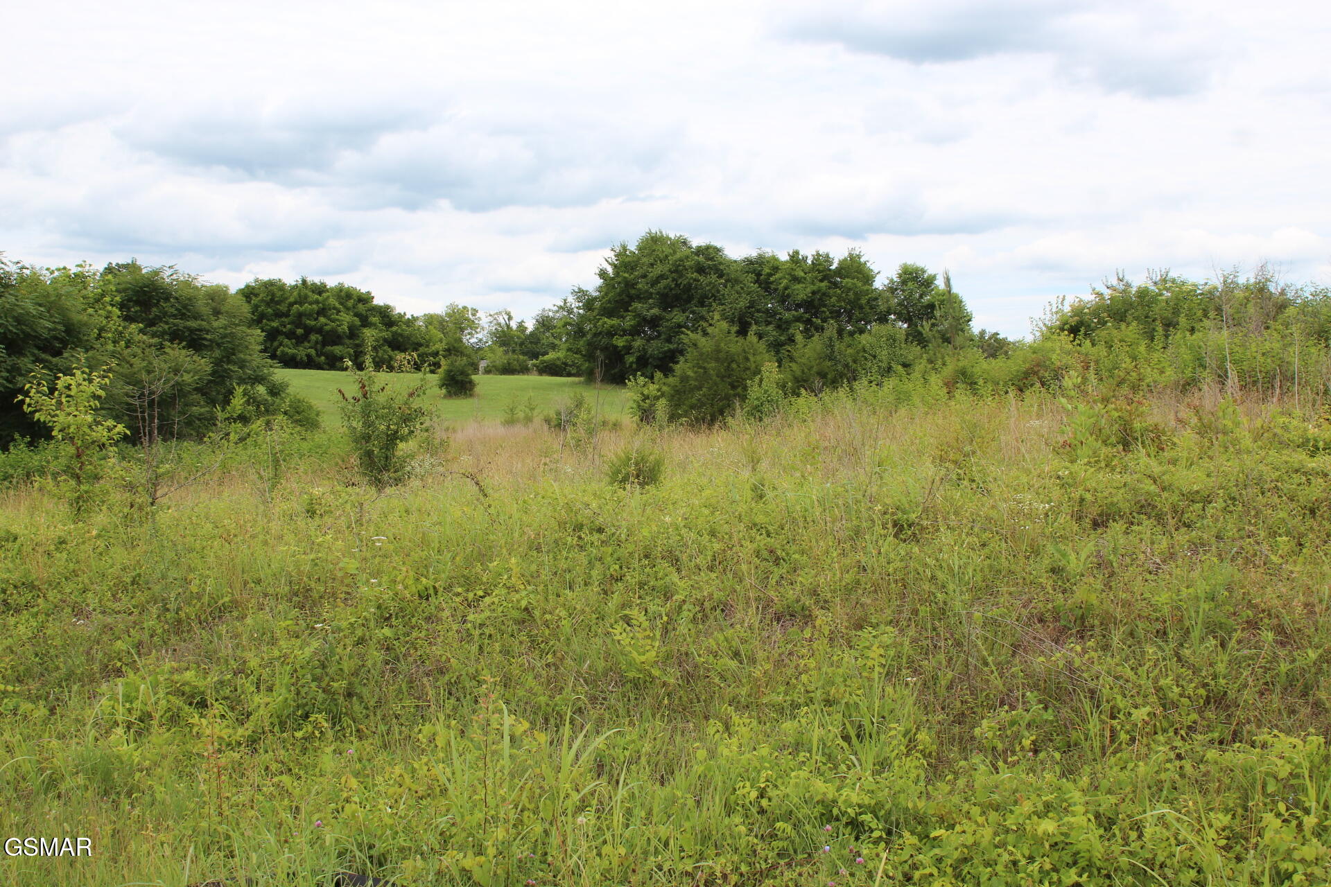 Lot 18 Baker Springs Road White Pine TN 37890