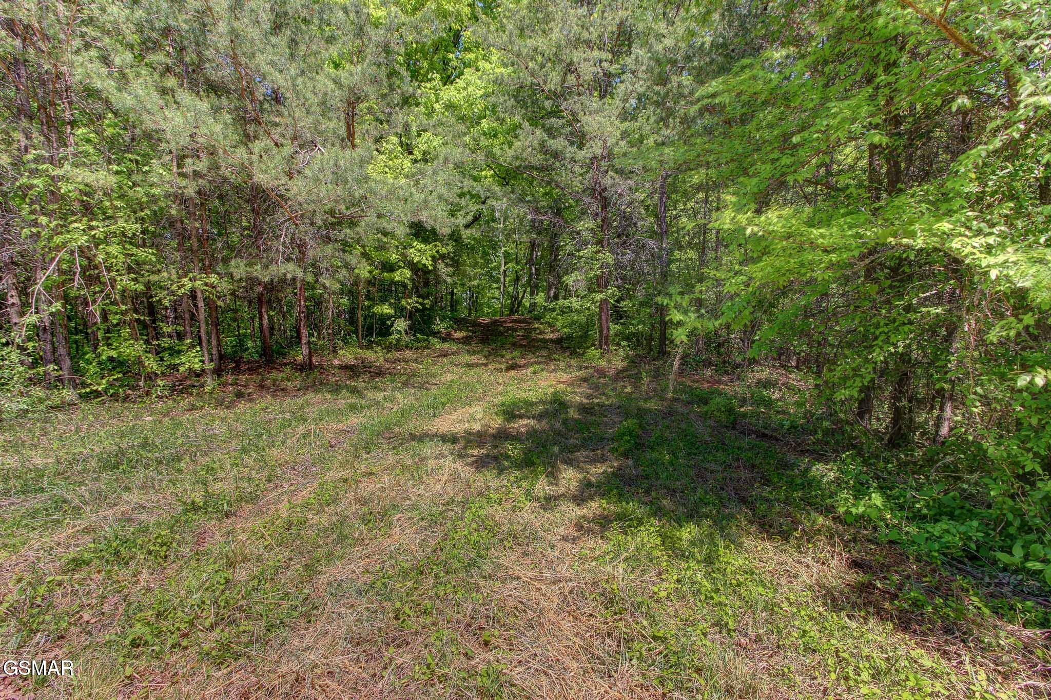 Lots 1-6r Thomas Cross Road Sevierville TN 37876