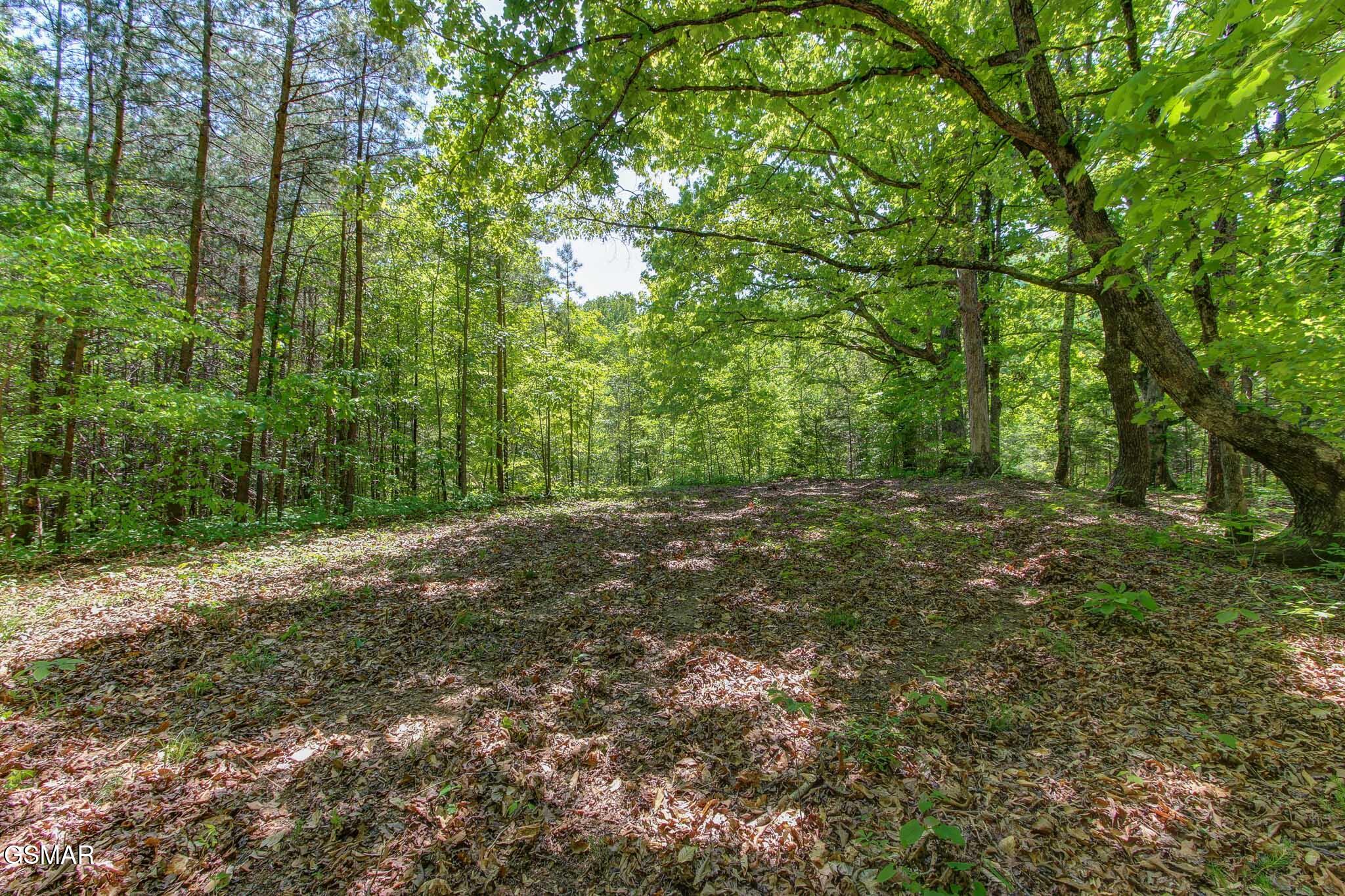Lots 1-6r Thomas Cross Road Sevierville TN 37876