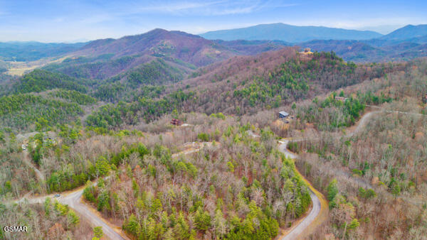 514 Percussion Court Walland TN 37886