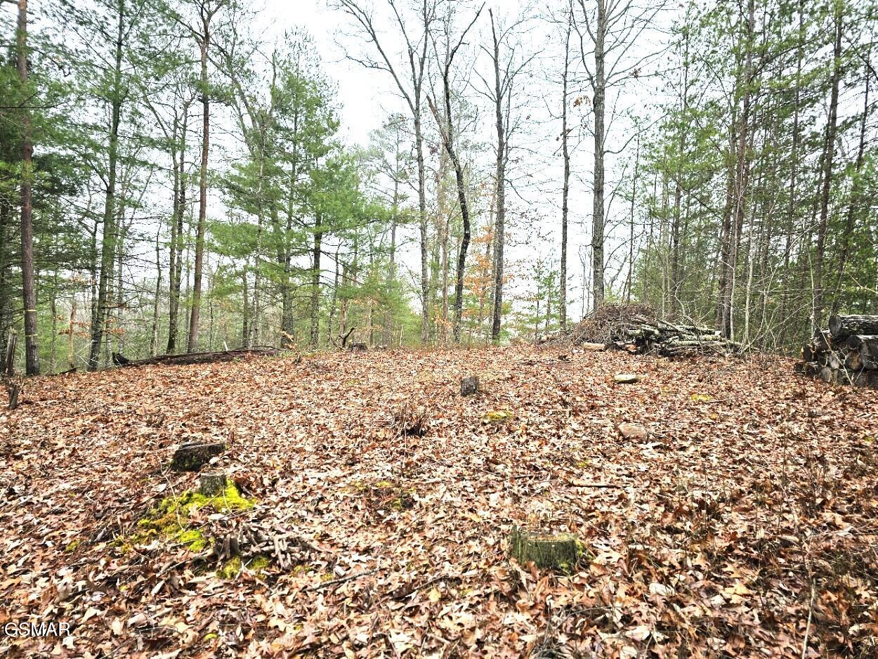 514 Percussion Court Walland TN 37886