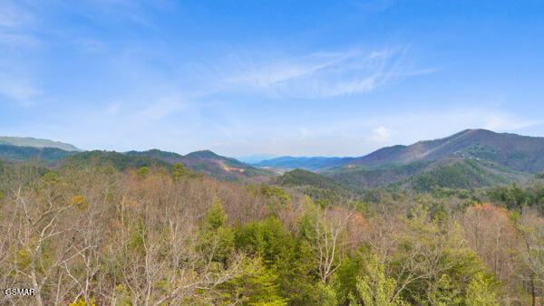 514 Percussion Court Walland TN 37886