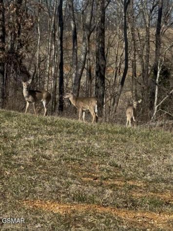 Lot 149 Bridgewater Boulevard Morristown TN 37814