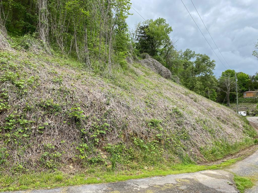 Lot 3 Coveside Way Sevierville TN 37876