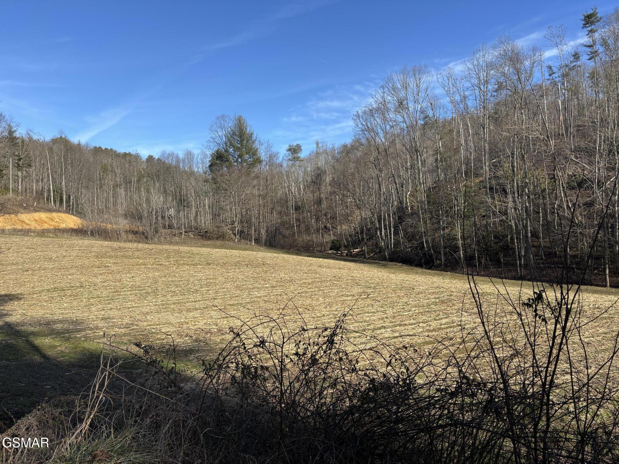 Tract 2 Bull Mountain Road Del Rio TN 37727