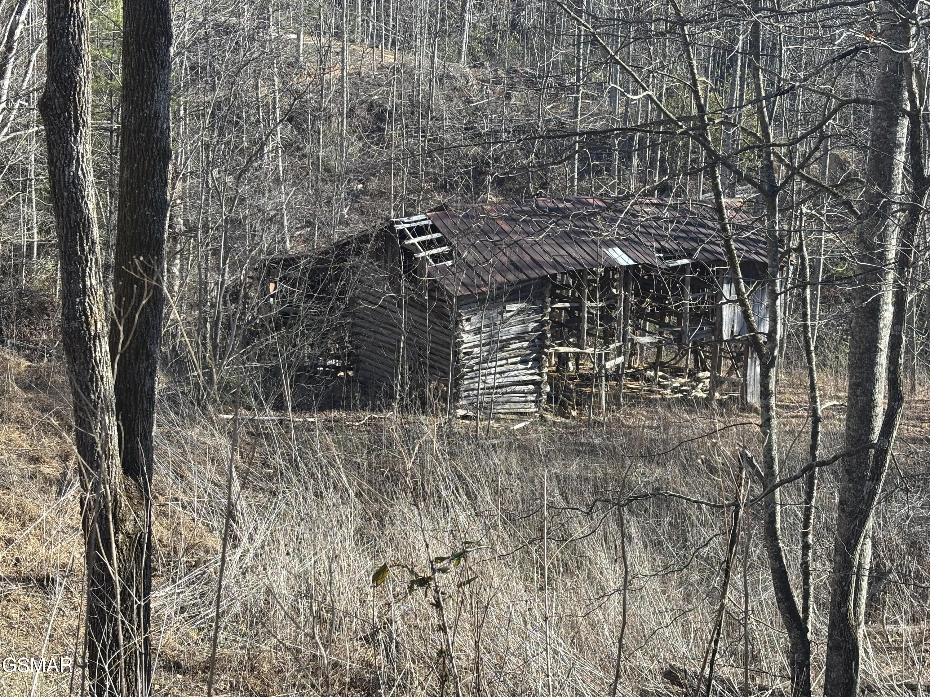 Tract 2 Bull Mountain Road Del Rio TN 37727