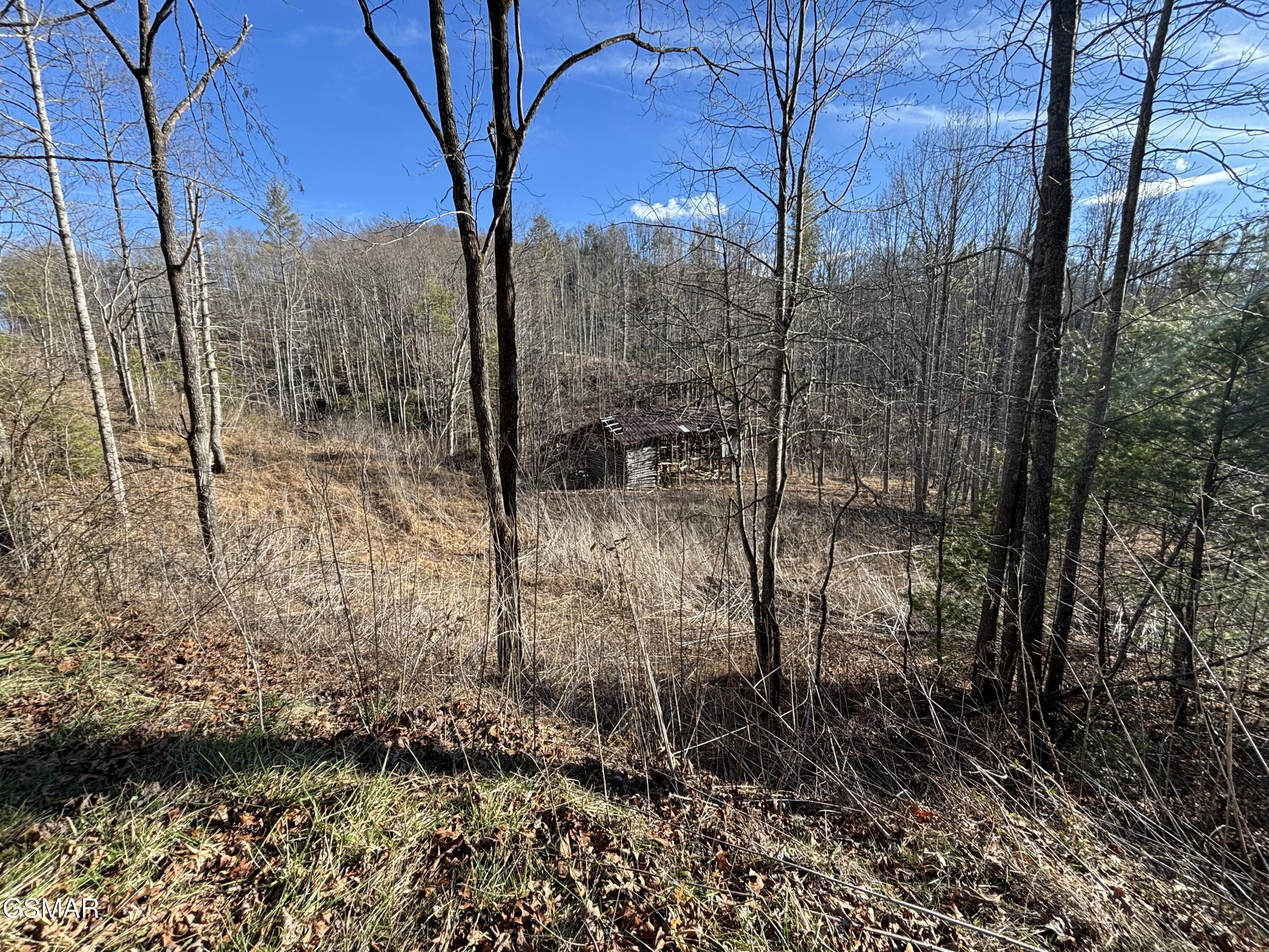 Tract 2 Bull Mountain Road Del Rio TN 37727