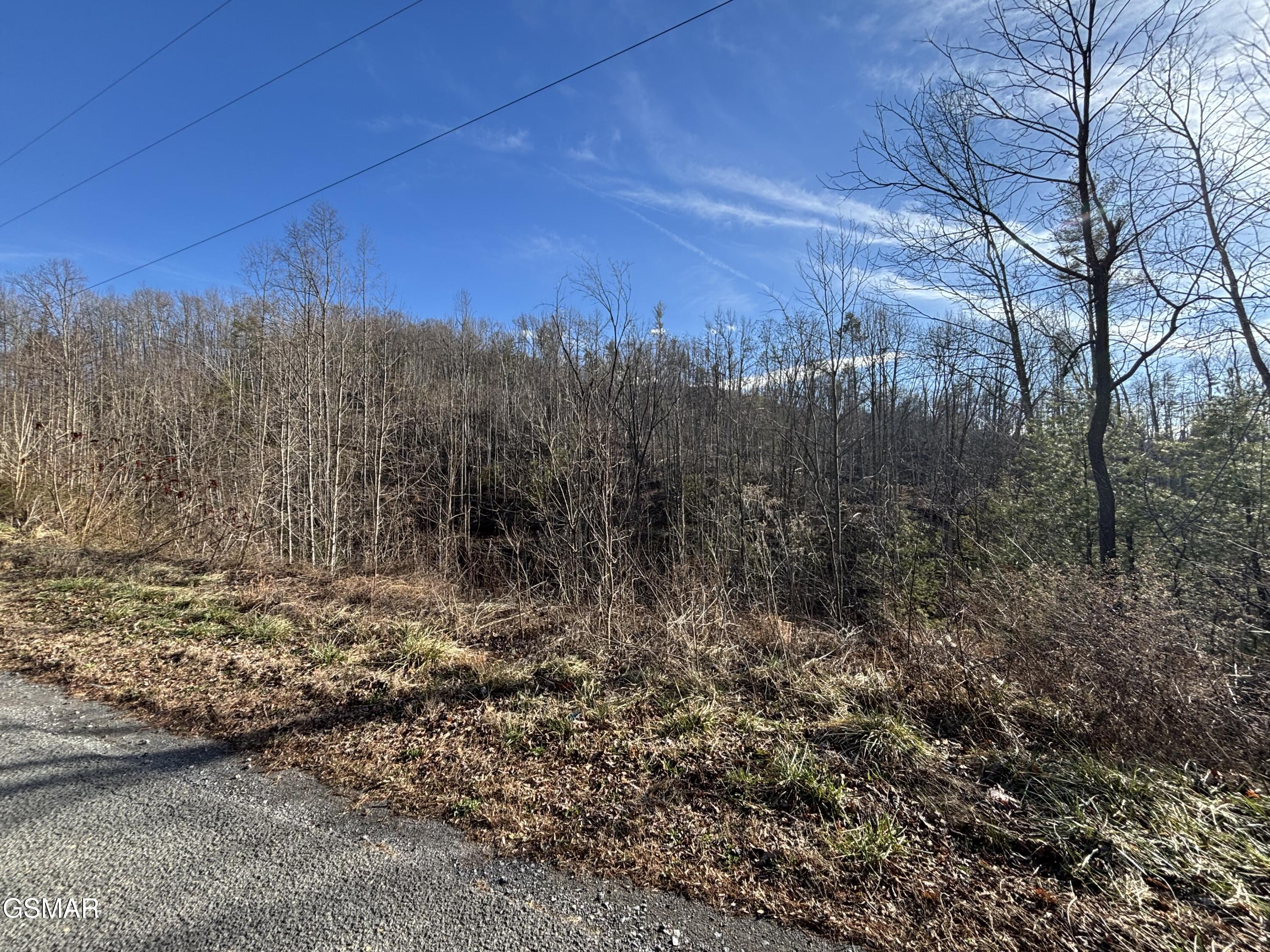 Tract 2 Bull Mountain Road Del Rio TN 37727