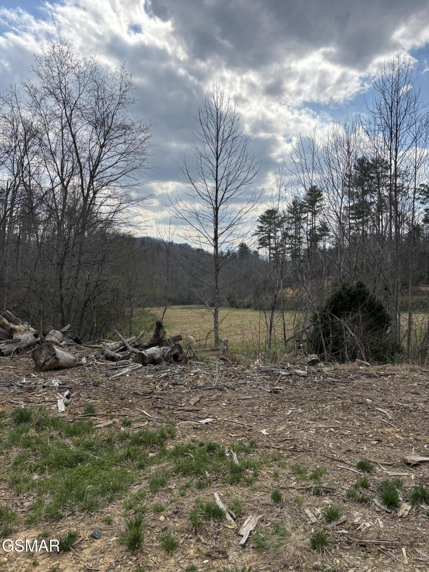 Tract 2 Bull Mountain Road Del Rio TN 37727