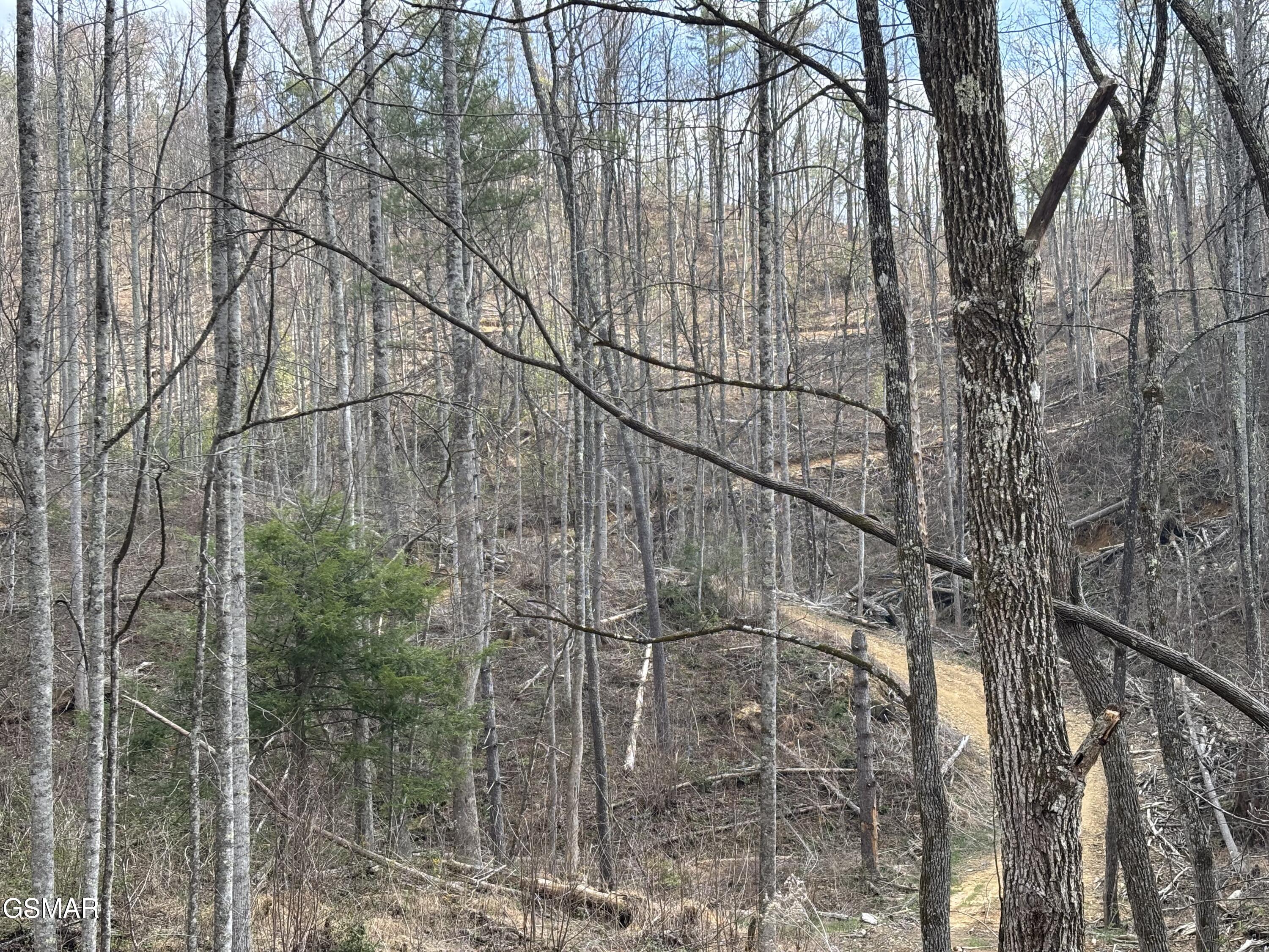 Tract 2 Bull Mountain Road Del Rio TN 37727