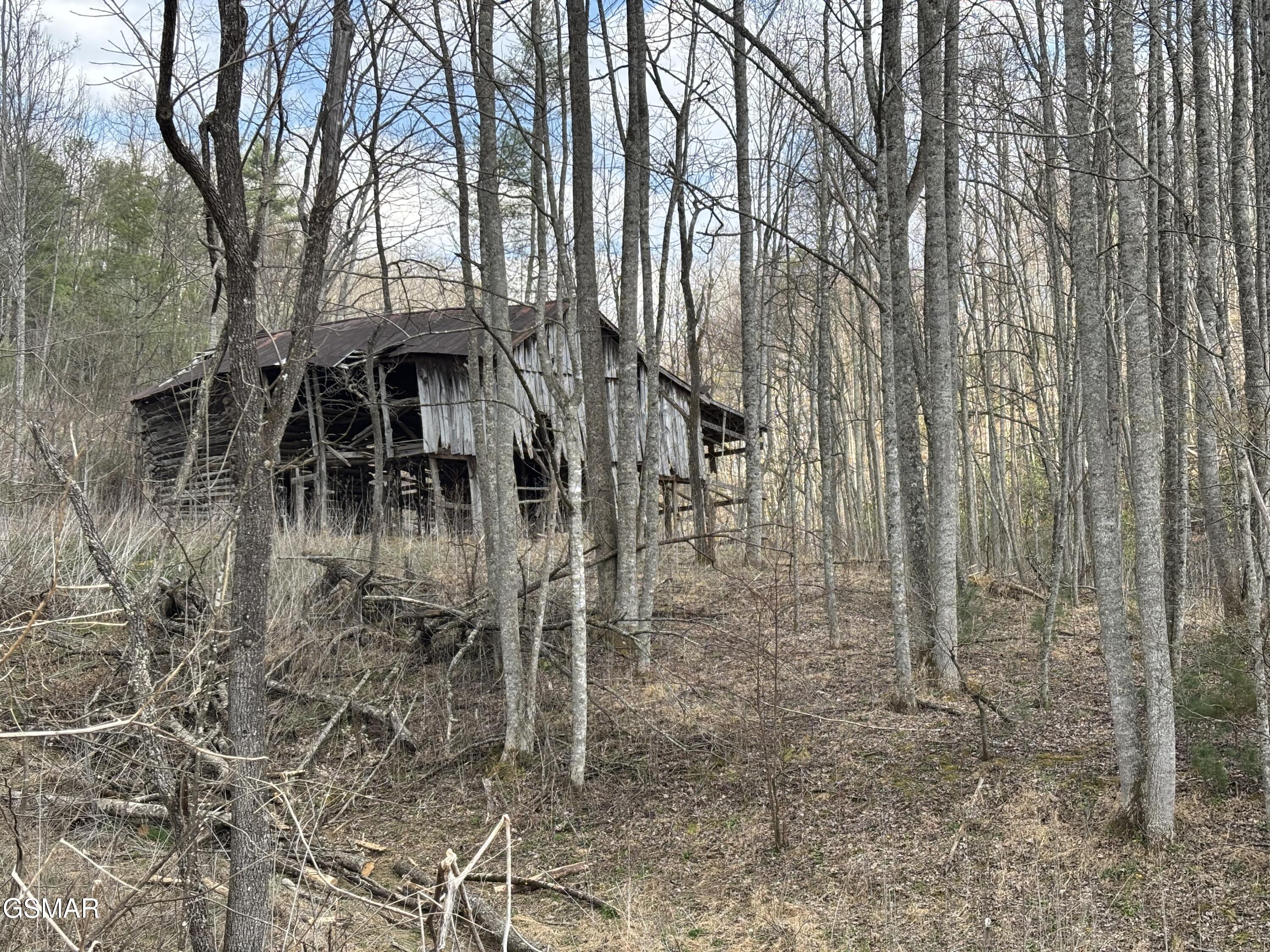 Tract 2 Bull Mountain Road Del Rio TN 37727