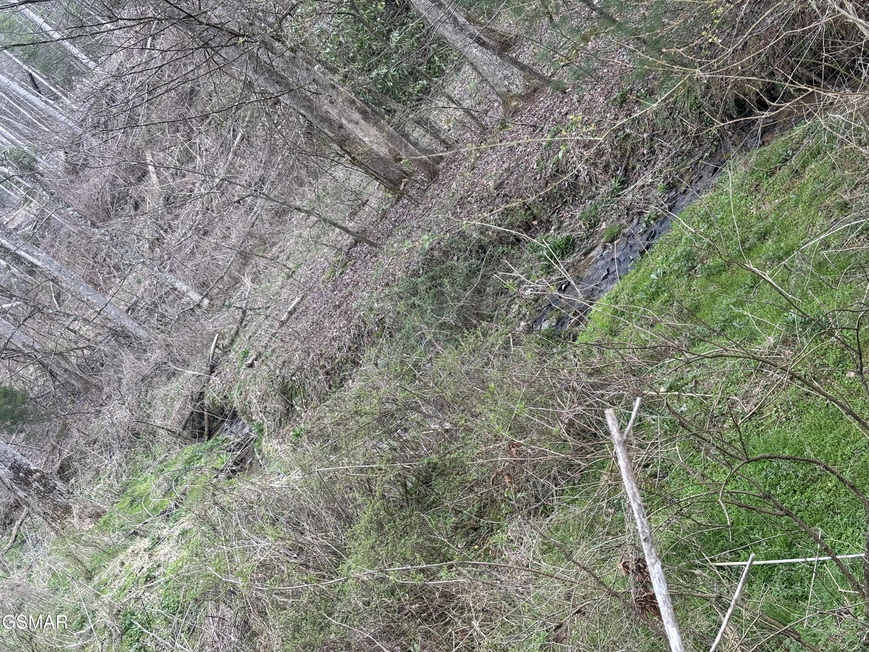 Tract 2 Bull Mountain Road Del Rio TN 37727