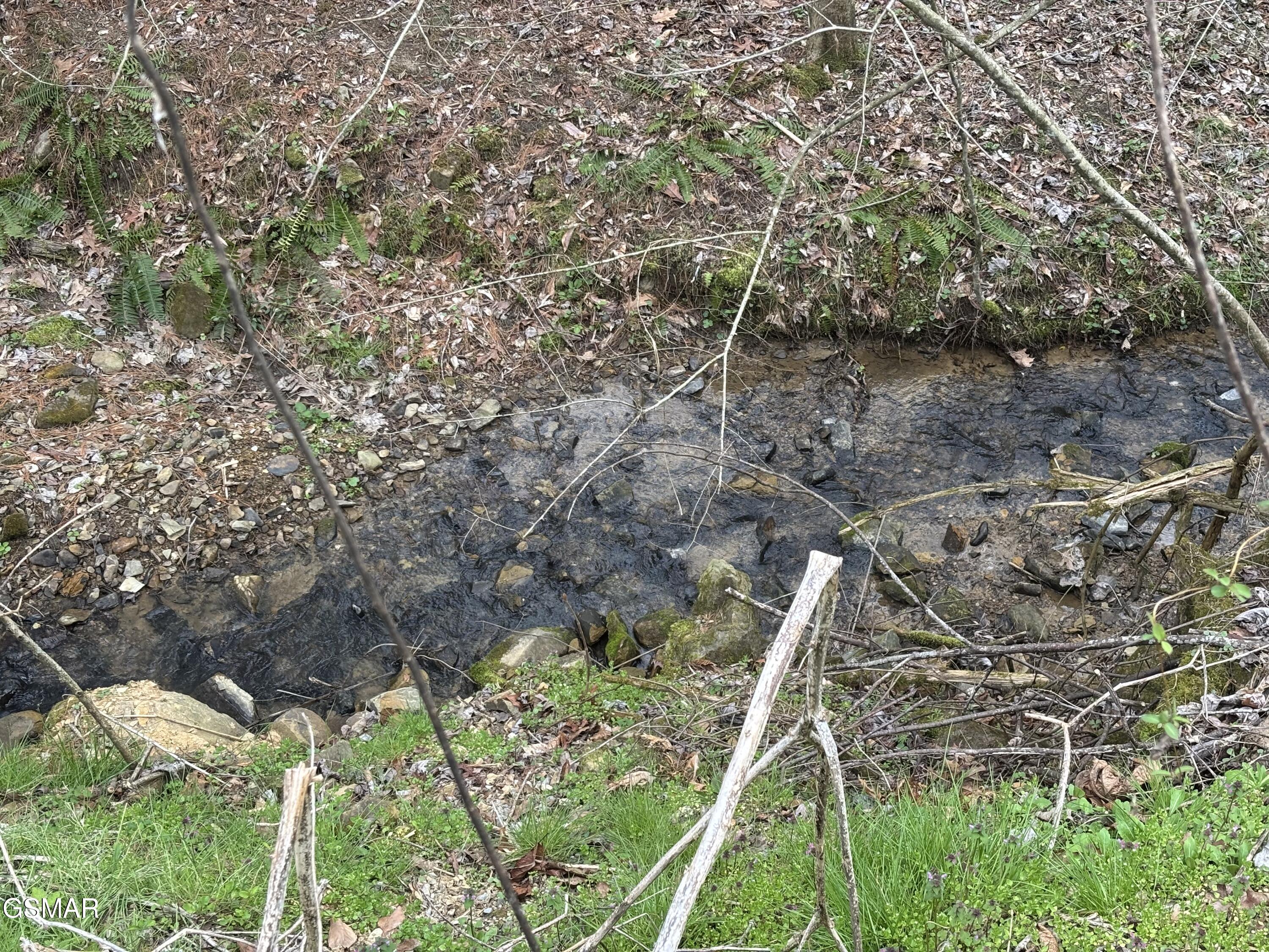 Tract 2 Bull Mountain Road Del Rio TN 37727